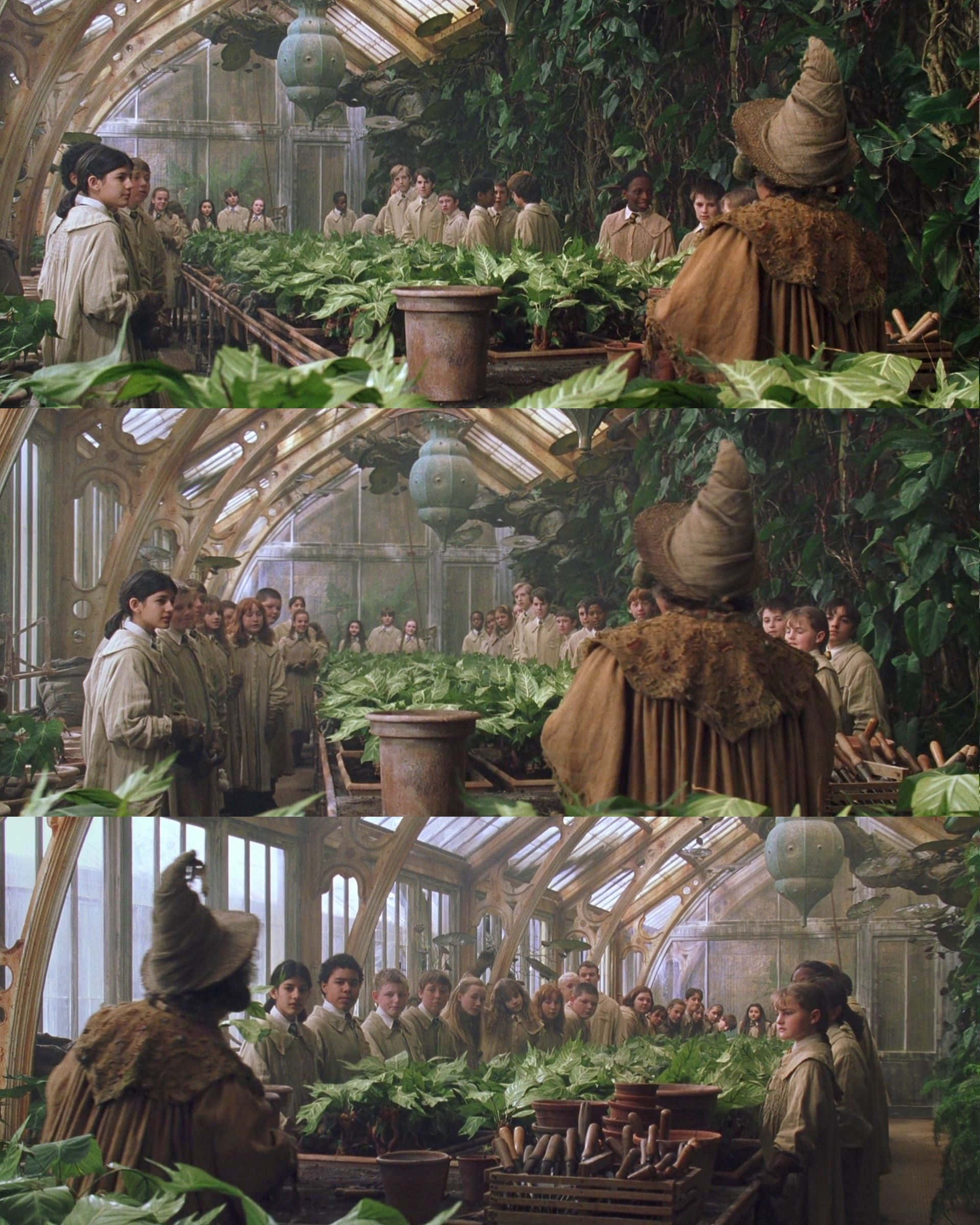 The Hogwarts Greenhouses 桌布 壁紙 — 霍格華茲溫室裡的學生們聽著一位戴尖帽子的巫師教授玻璃罩下的魔法植物。