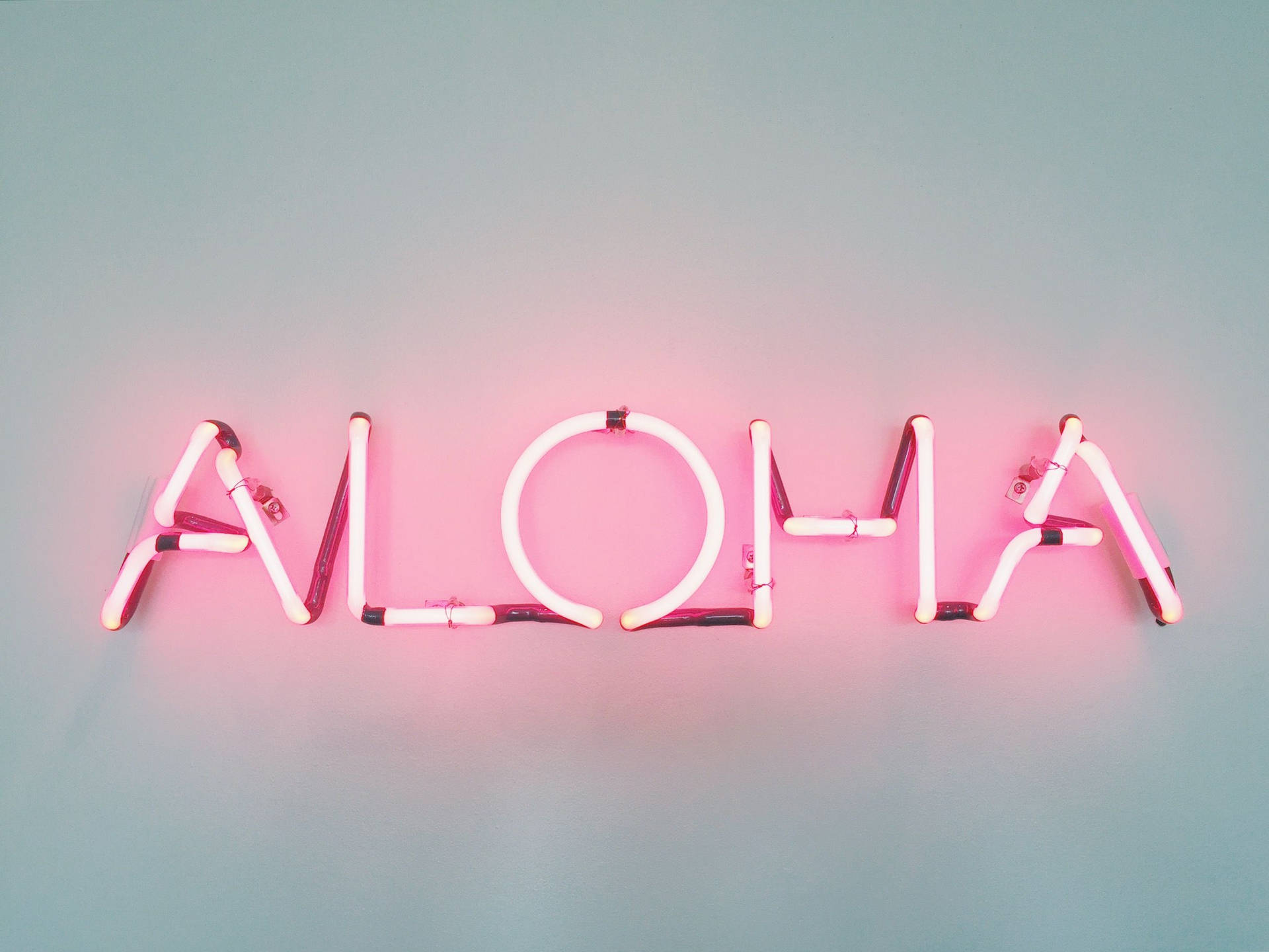 粉紅色霓虹燈牌在藍色牆上拼出 aloha