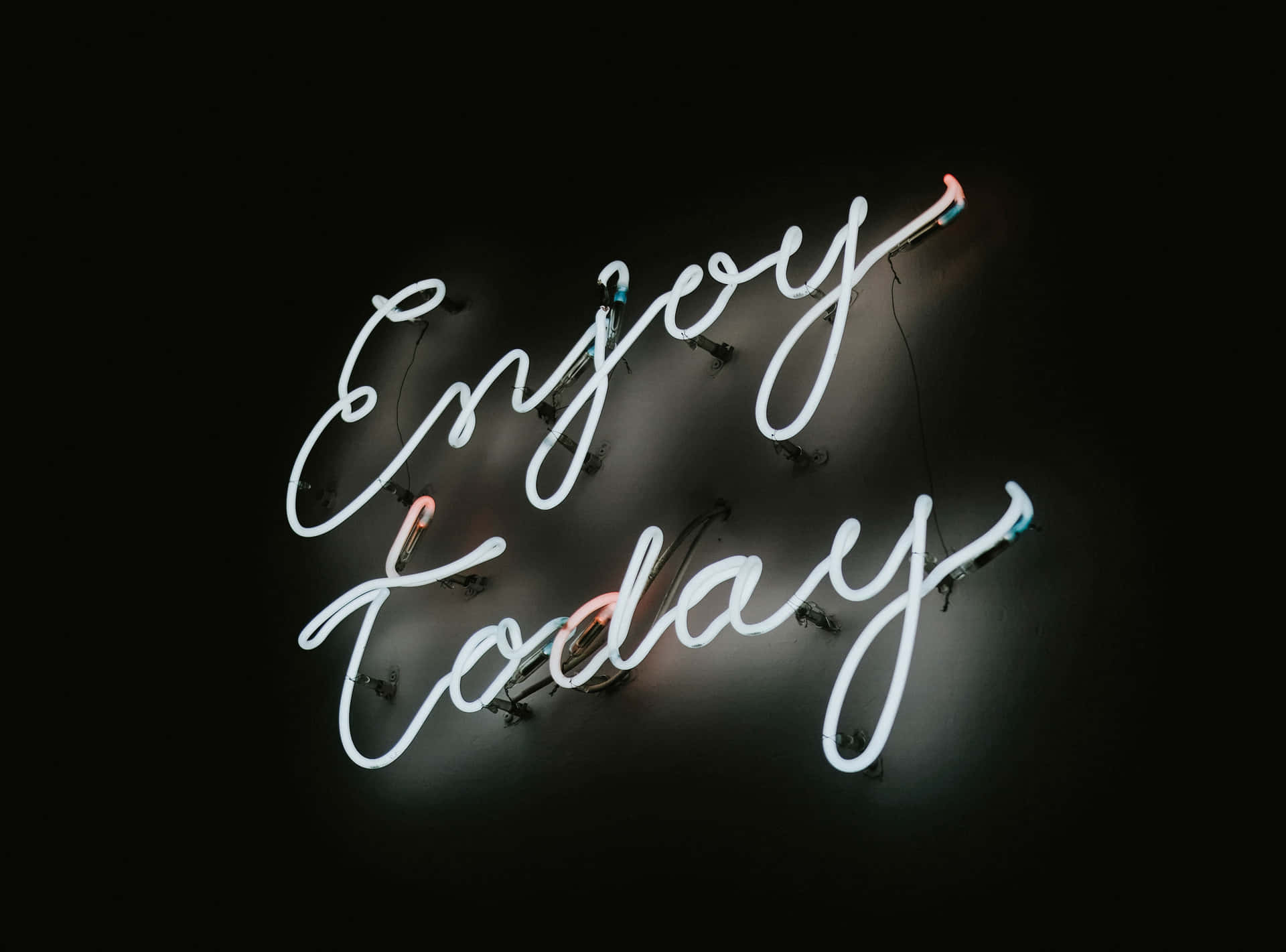 深色牆壁上寫著Enjoy Today的霓虹燈牌
