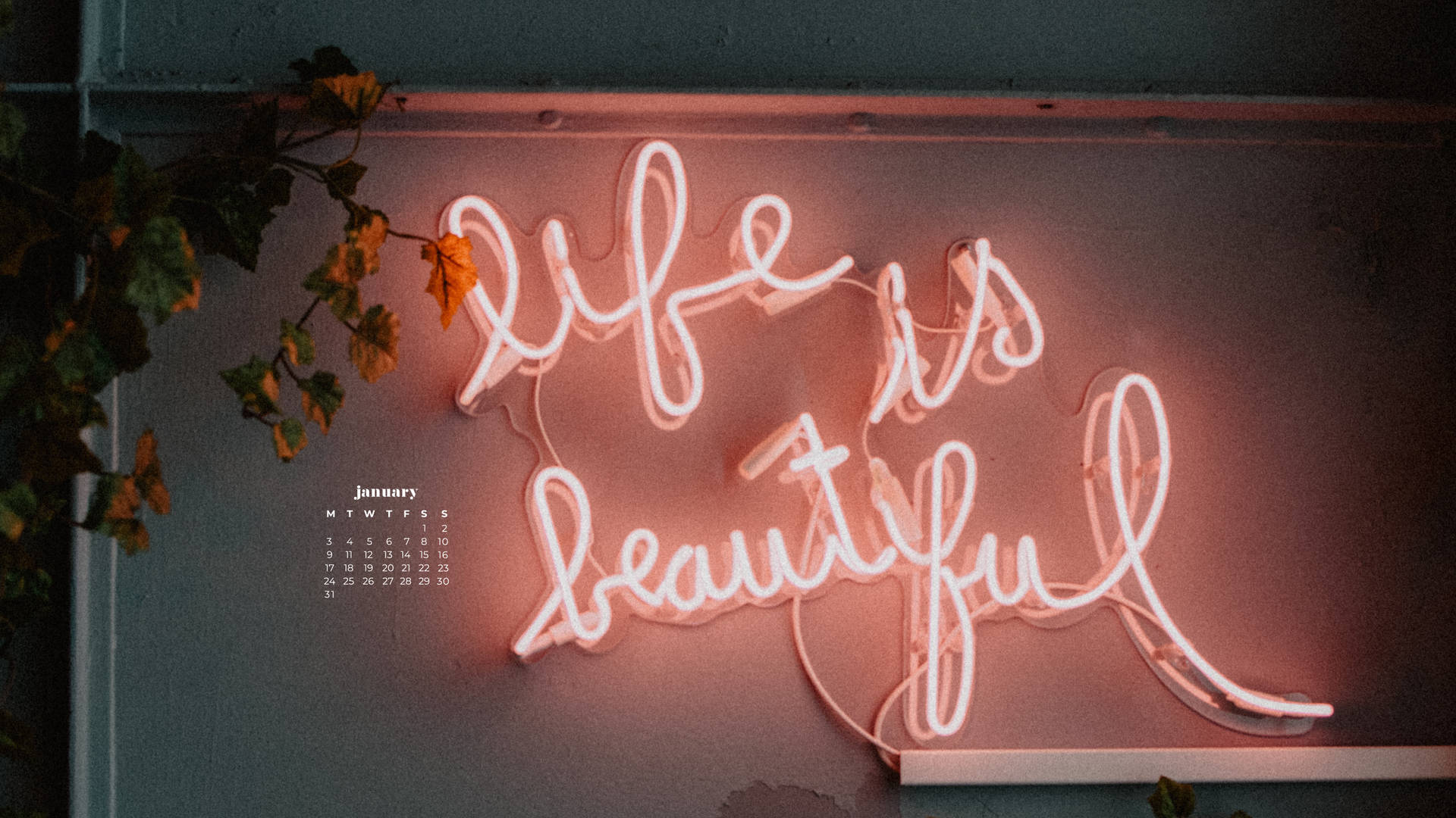 粉紅色霓虹燈牌寫著life is beautiful，附有日曆和秋葉。