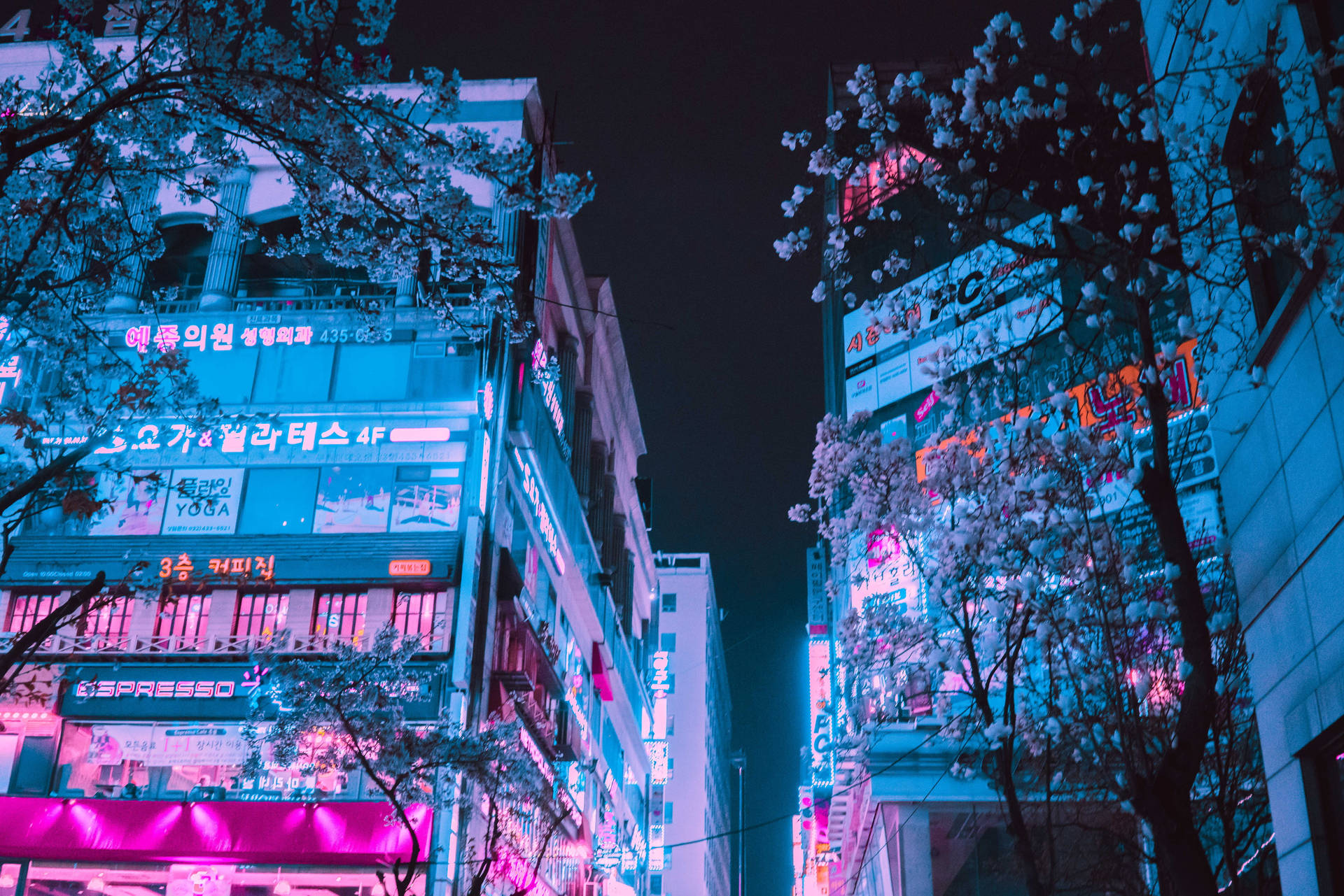 夜晚霓虹燈照亮城市街道，前景有盛開的櫻花樹。