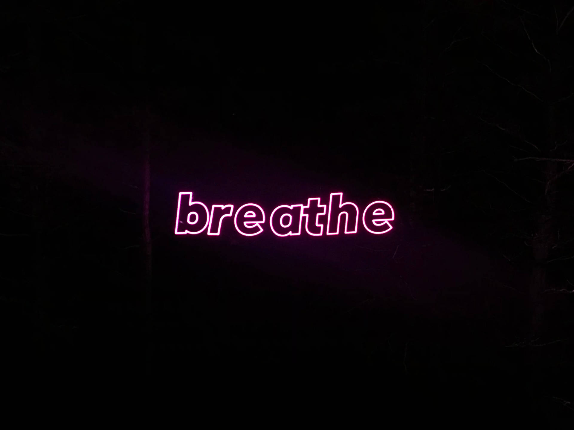在夜晚的黑暗森林中，一個寫著 breathe 的粉紅色霓虹燈牌。