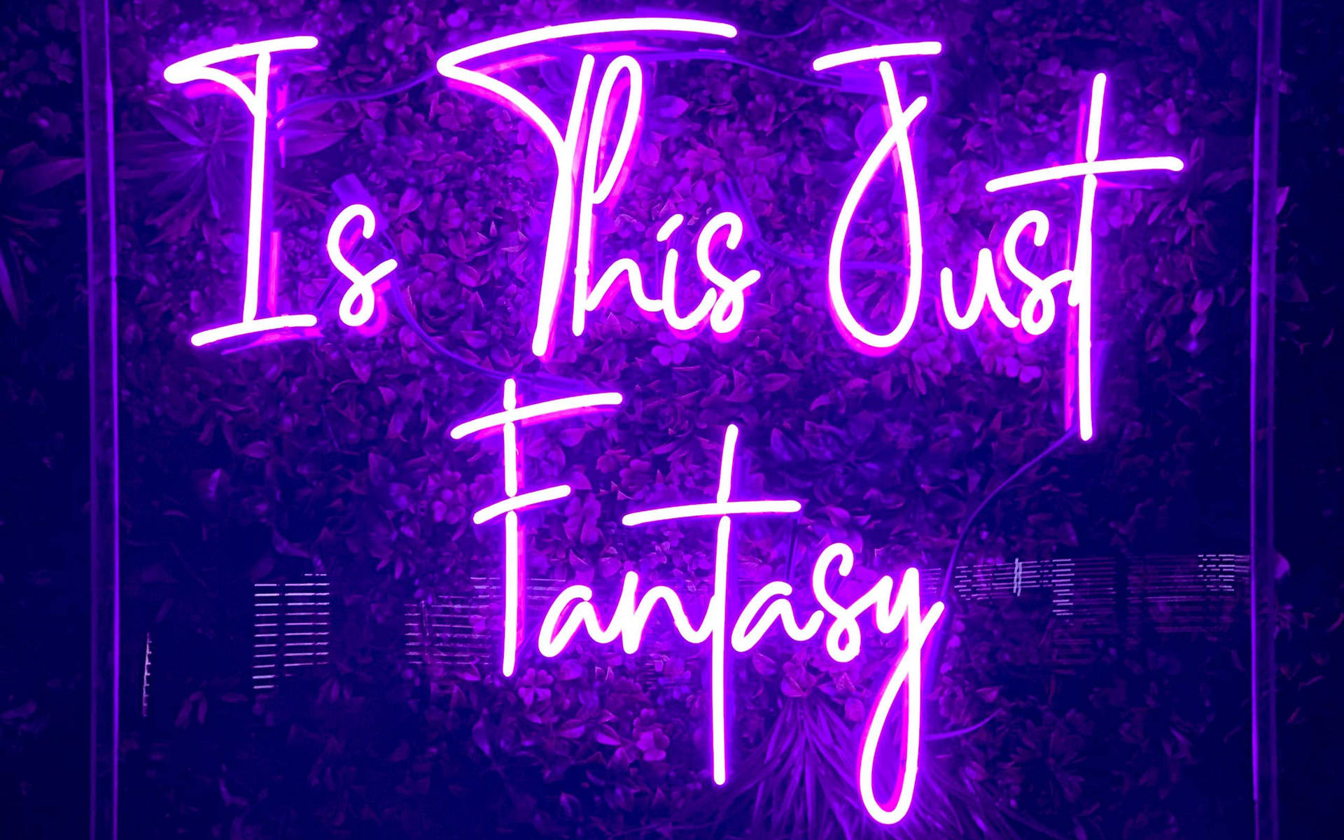 紫色霓虹燈牌，上面寫著「Is This Just Fantasy」，以黑暗的葉牆為背景。