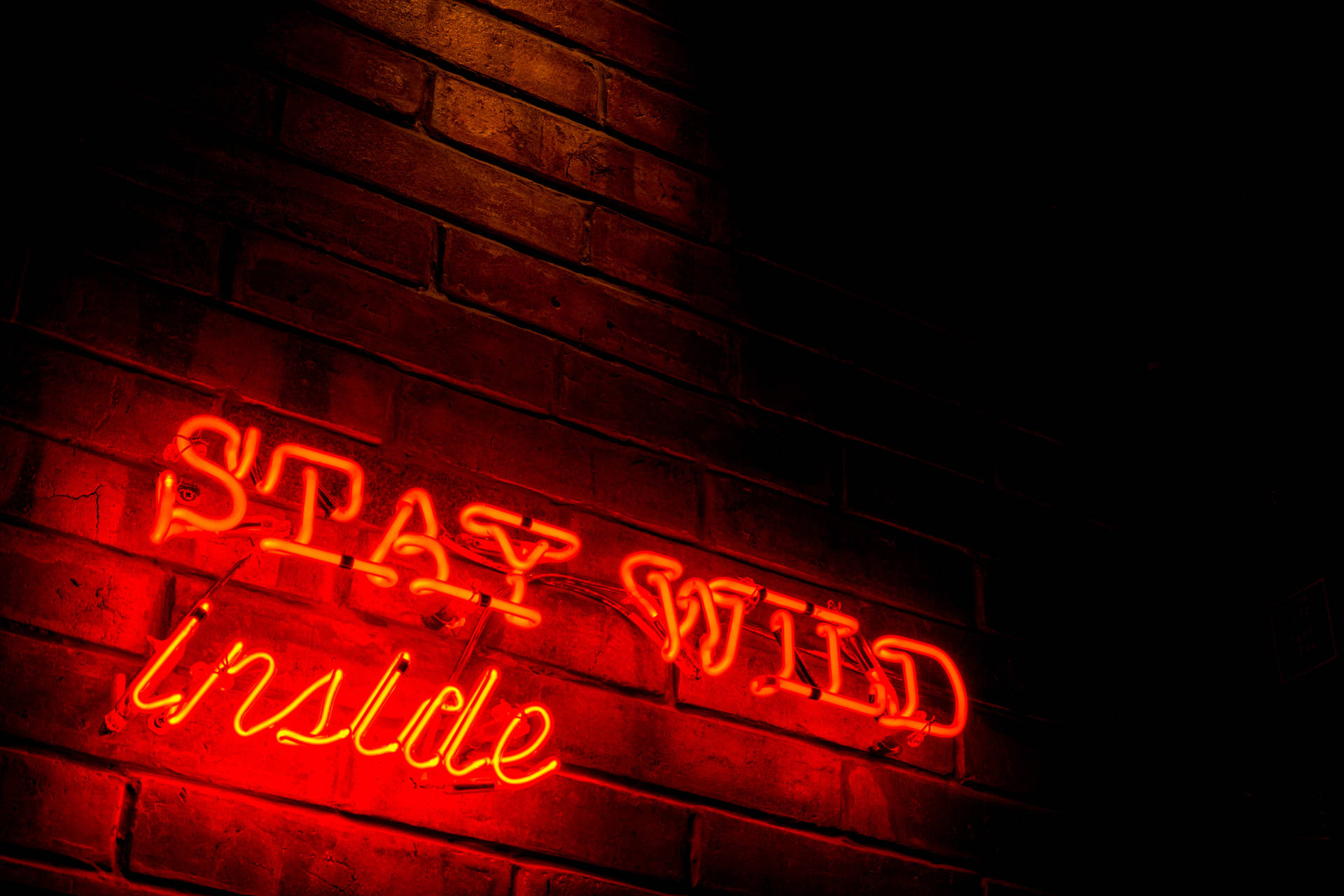 夜晚磚牆上寫著「STAY WILD inside」的紅色霓虹燈牌。