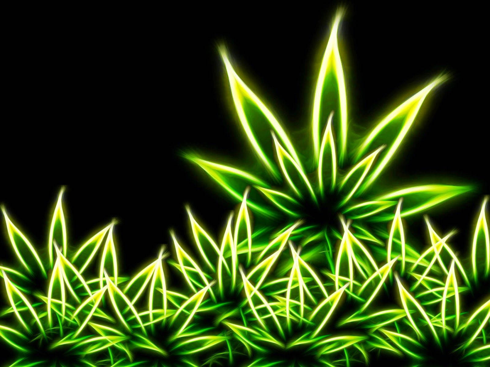 黑色背景上發光的螢光綠色大麻葉