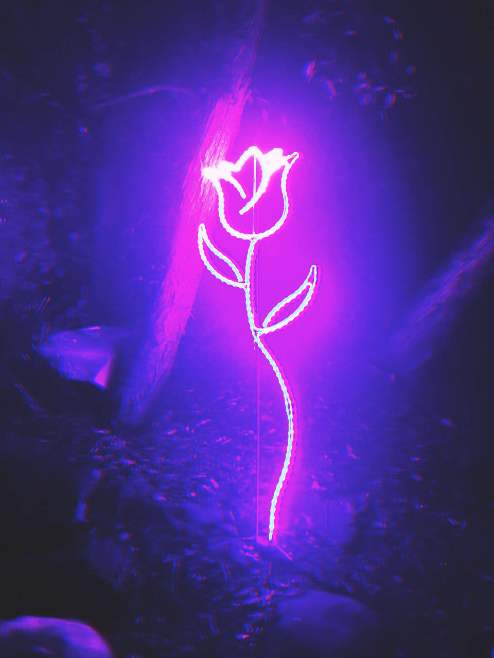 夜間在深紫色森林中發光的霓虹玫瑰