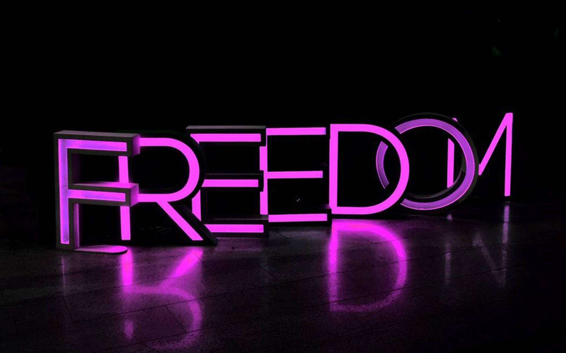 霓虹紫色風情自由 壁紙 — 大膽的紫色霓虹燈字母拼出FREEDOM，在黑色背景上發光，並在拋光地板上反射。