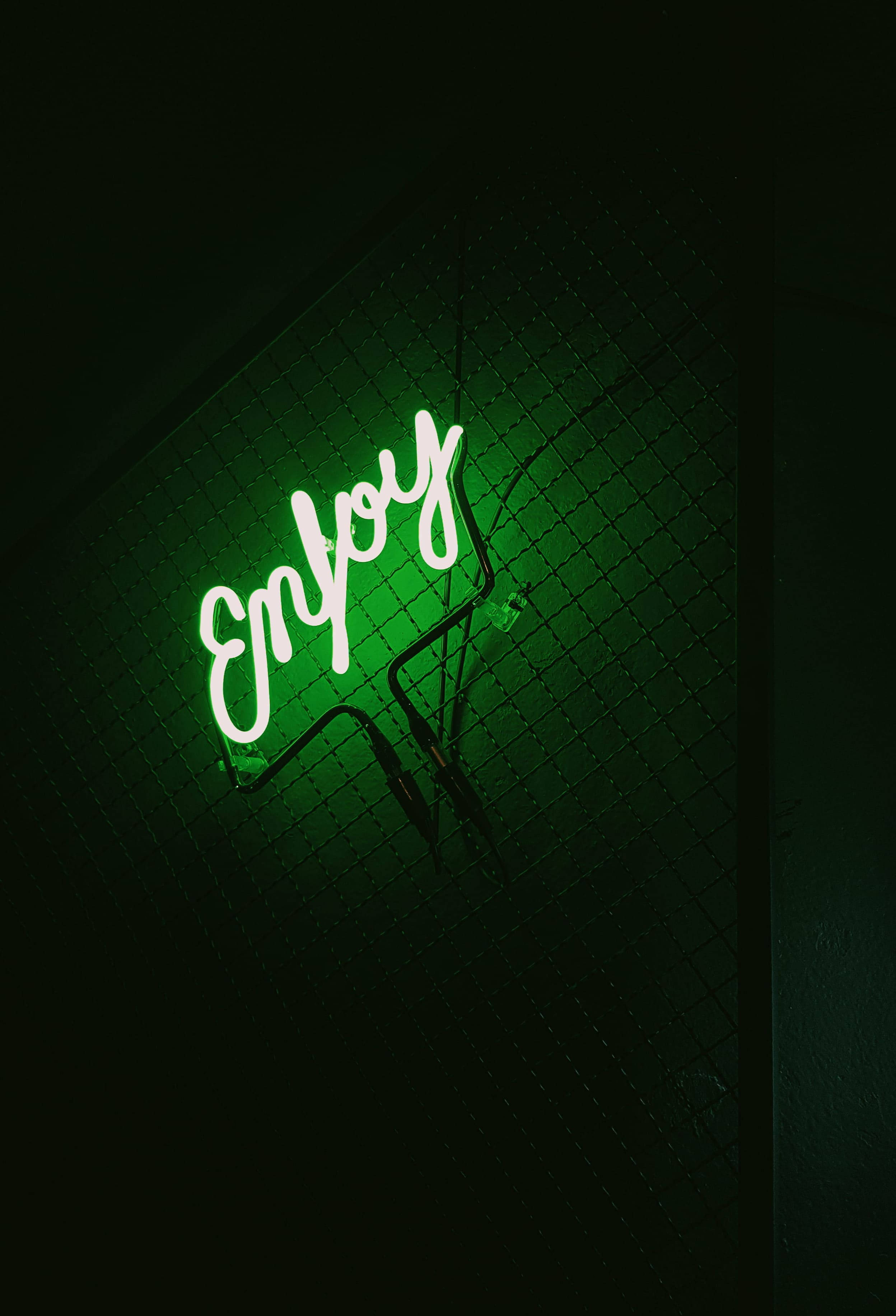 霓虹綠「Enjoy」招牌 壁紙 — 一個發光的綠色霓虹燈牌，拼寫著「Enjoy」，在昏暗的城市環境中，將柔和的光線投射在深色的鐵絲網圍欄上。