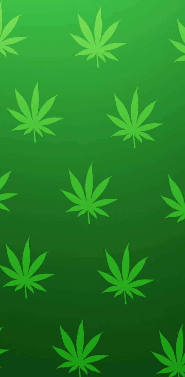 帶有大麻葉圖案的綠色漸變背景。