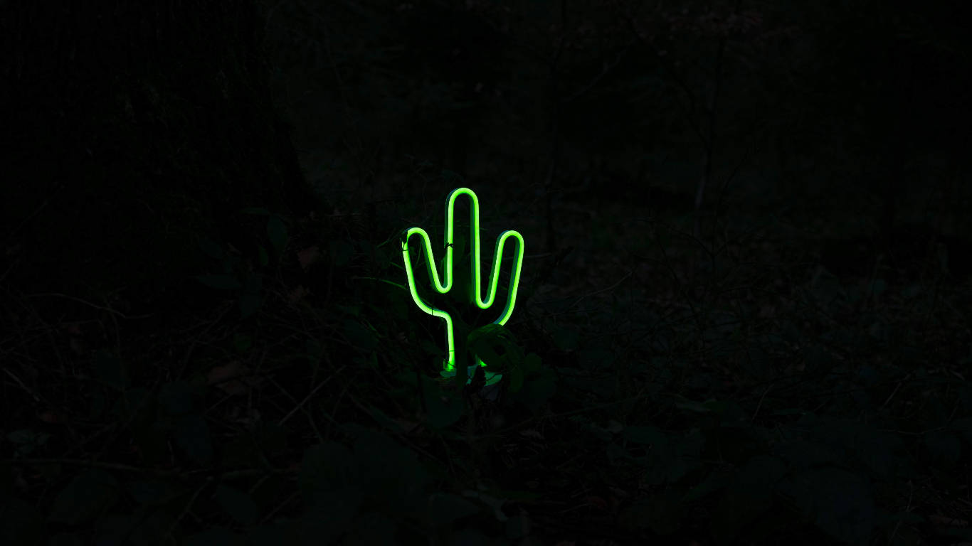 夜晚在黑暗森林中發光的霓虹燈仙人掌