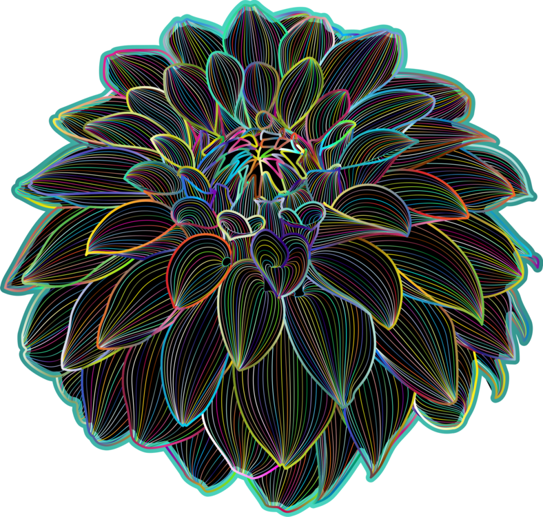 霓虹線條菊花 壁紙 — 一朵充滿活力的霓虹輪廓大麗花，在黑色背景上閃爍著多彩的線條。