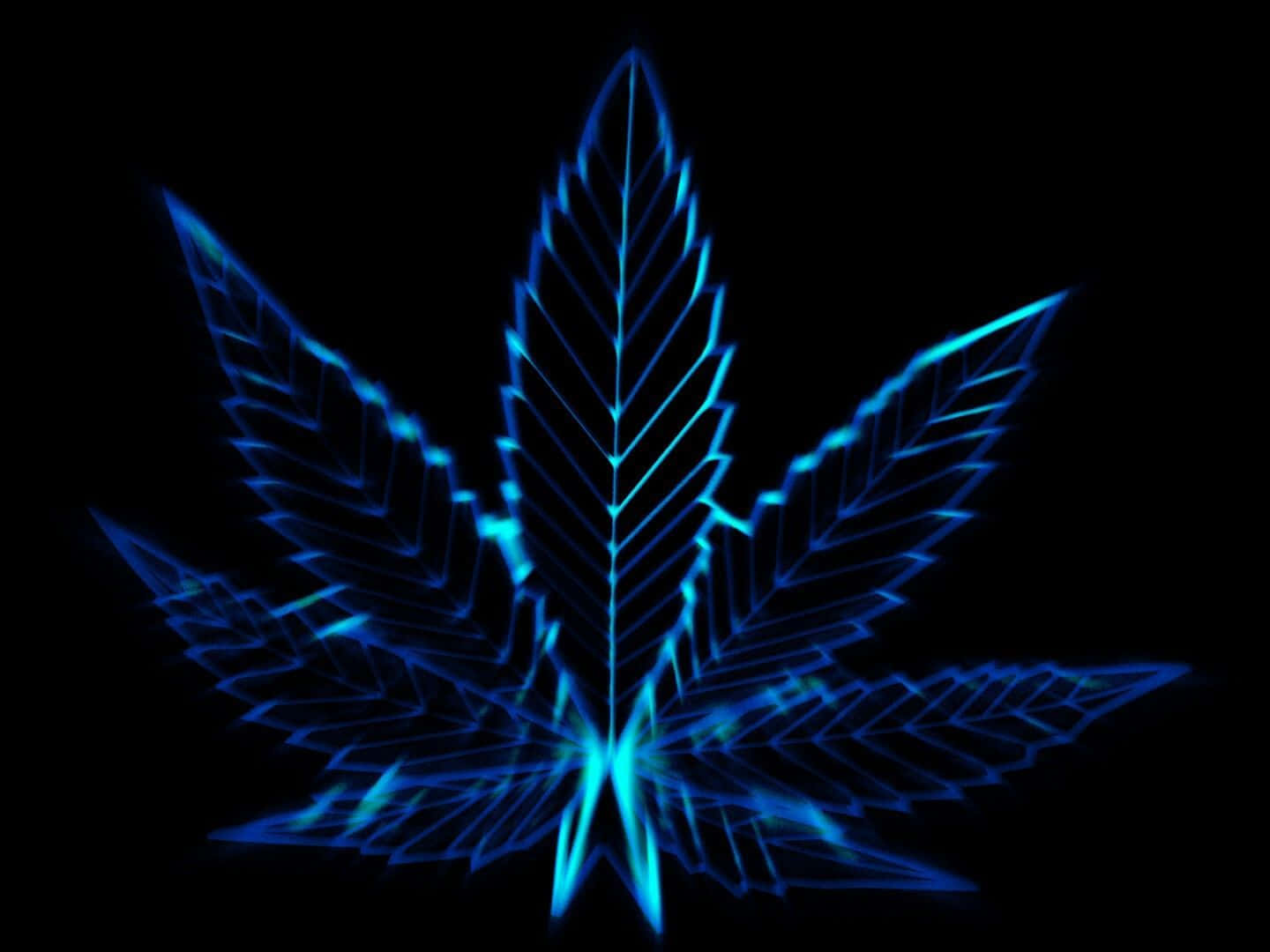 發光的藍色霓虹大麻葉，在黑色背景上帶有銳利線條