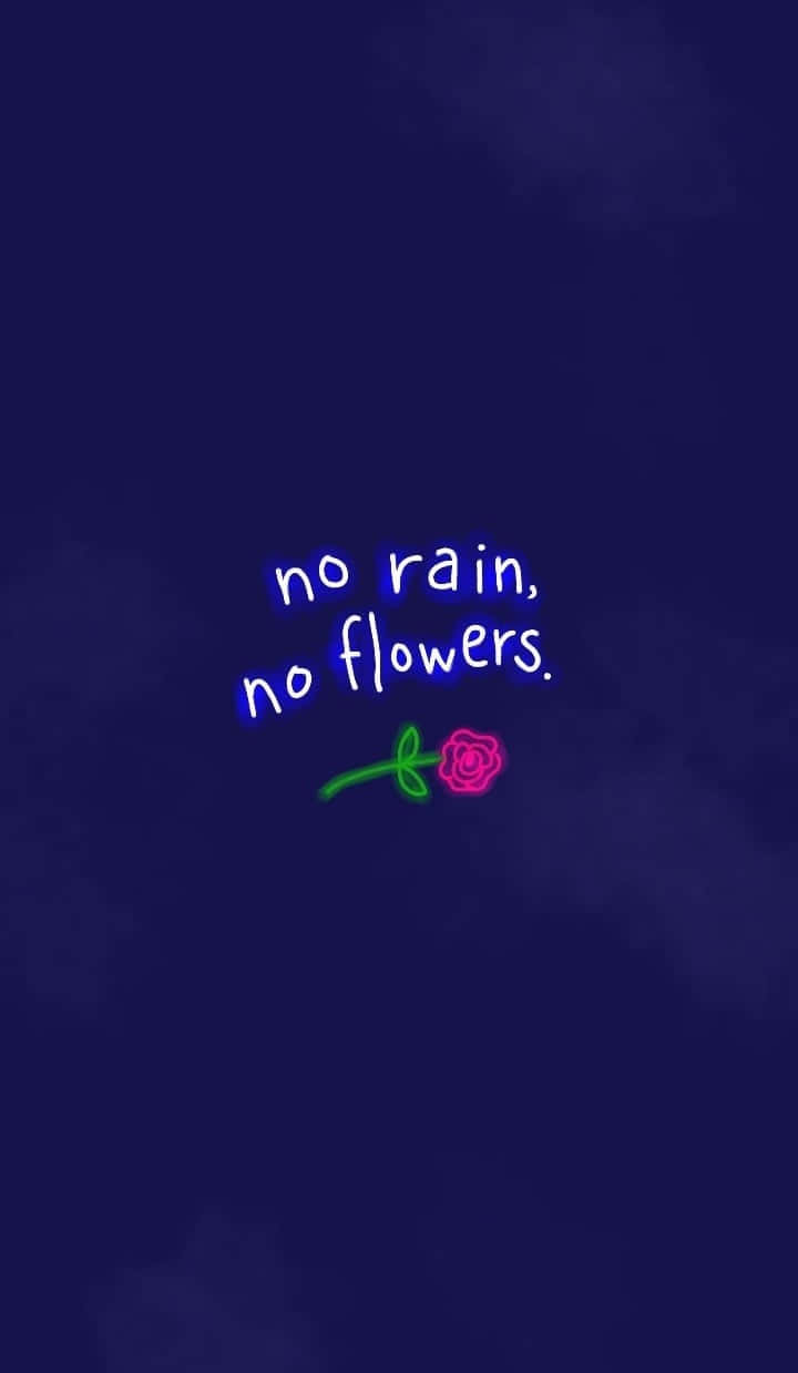美學手機GIF 桌布 壁紙 — 霓虹藍色文字顯示 no rain no flowers，並在深藍色紋理背景上配有粉紅色玫瑰插圖。