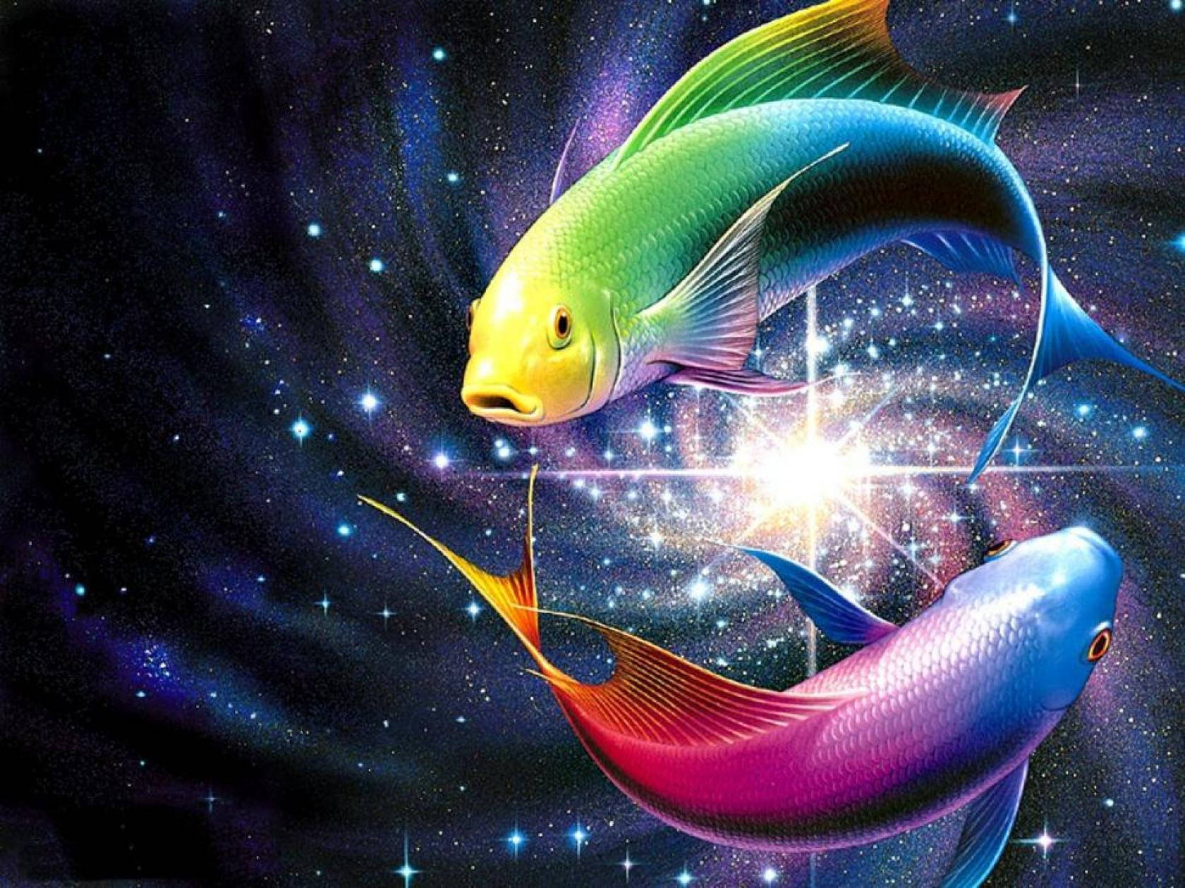 霓虹閃耀酷炫魚 壁紙 — 兩條彩虹魚優雅地游過充滿閃爍星星和光芒四射的宇宙星雲。