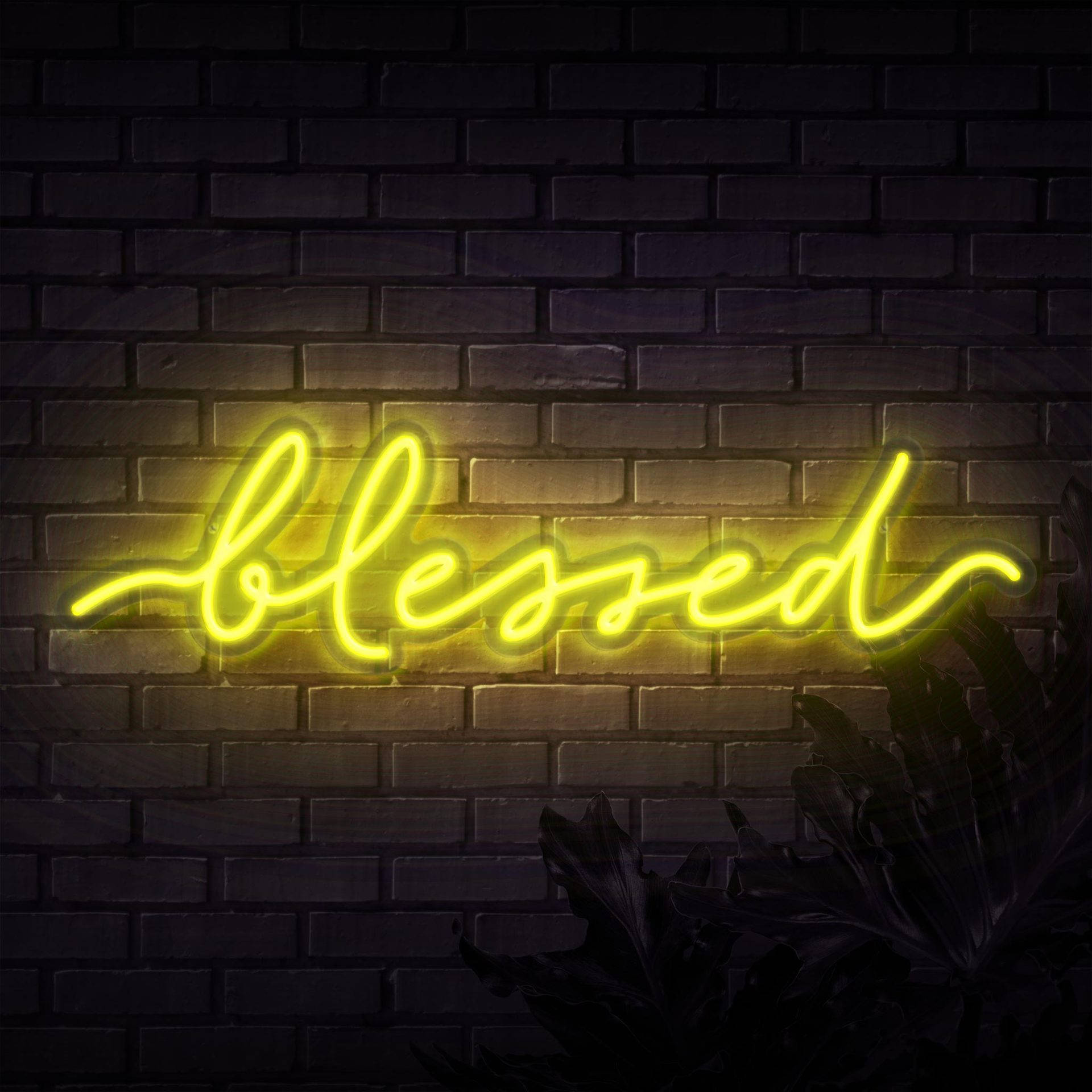 霓虹黃色「Blessed」燈光牆 壁紙 — 一個發光的黃色霓虹燈牌拼出 blessed，照亮了下方帶有剪影葉子的深色磚牆。