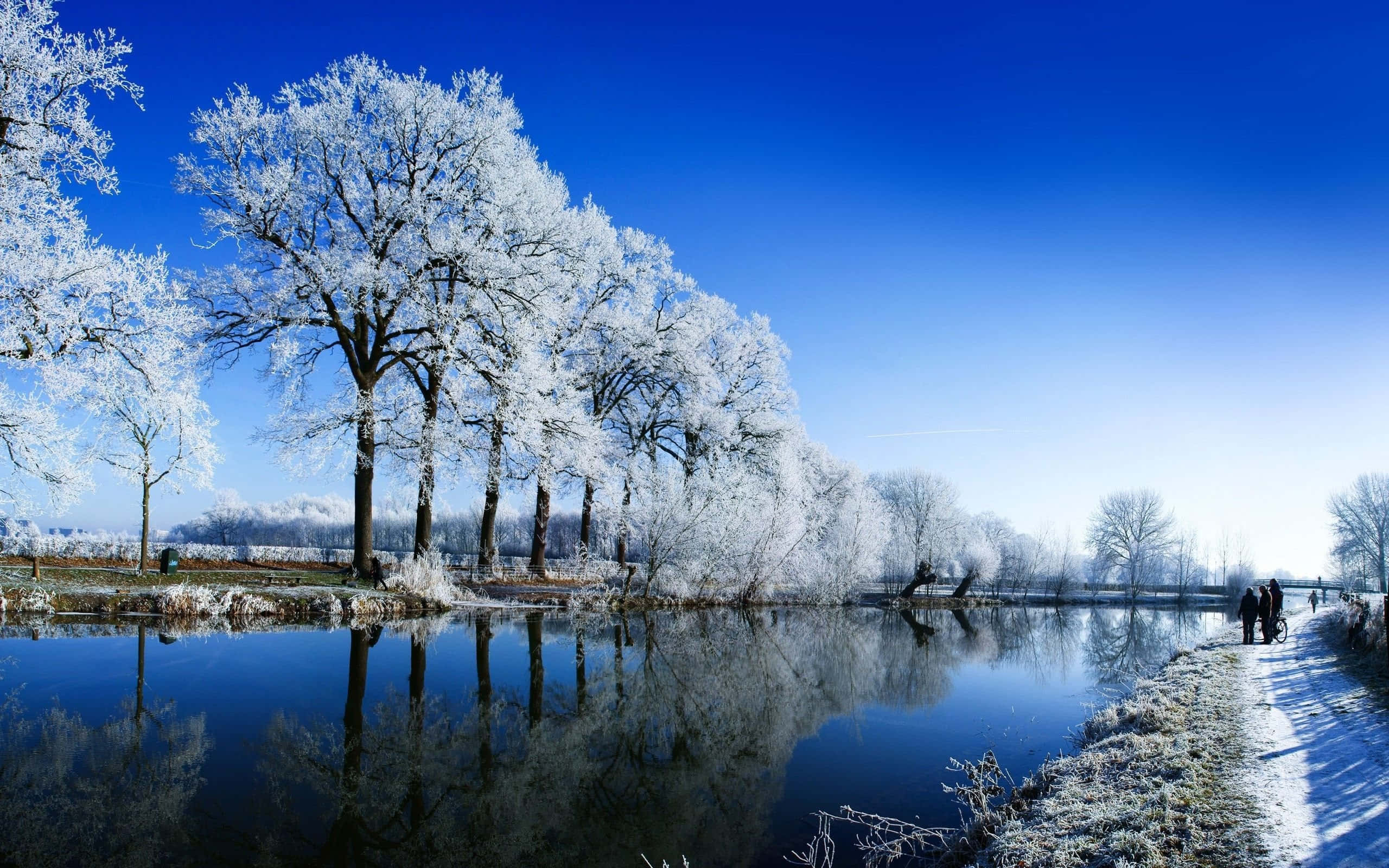 Snowy Landscape 桌布 壁紙 — 霜覆蓋的樹木排列在寧靜的冬季運河旁，在鮮豔的藍天下，水中倒影清晰。