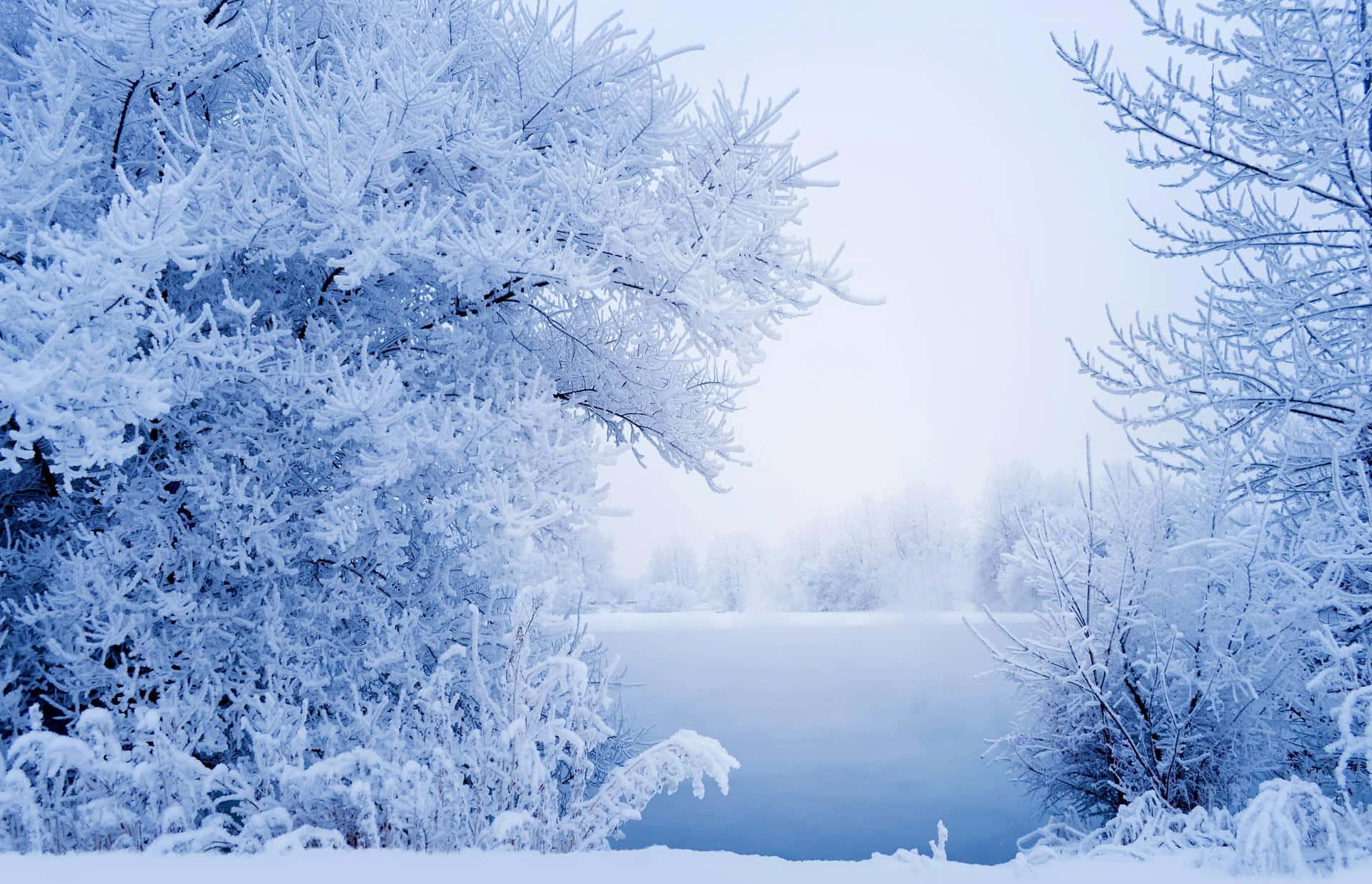 Winter Christmas 桌布 壁紙 — 霜覆蓋的樹枝框住了一個在蒼白冬日天空下寧靜的冰凍湖泊。