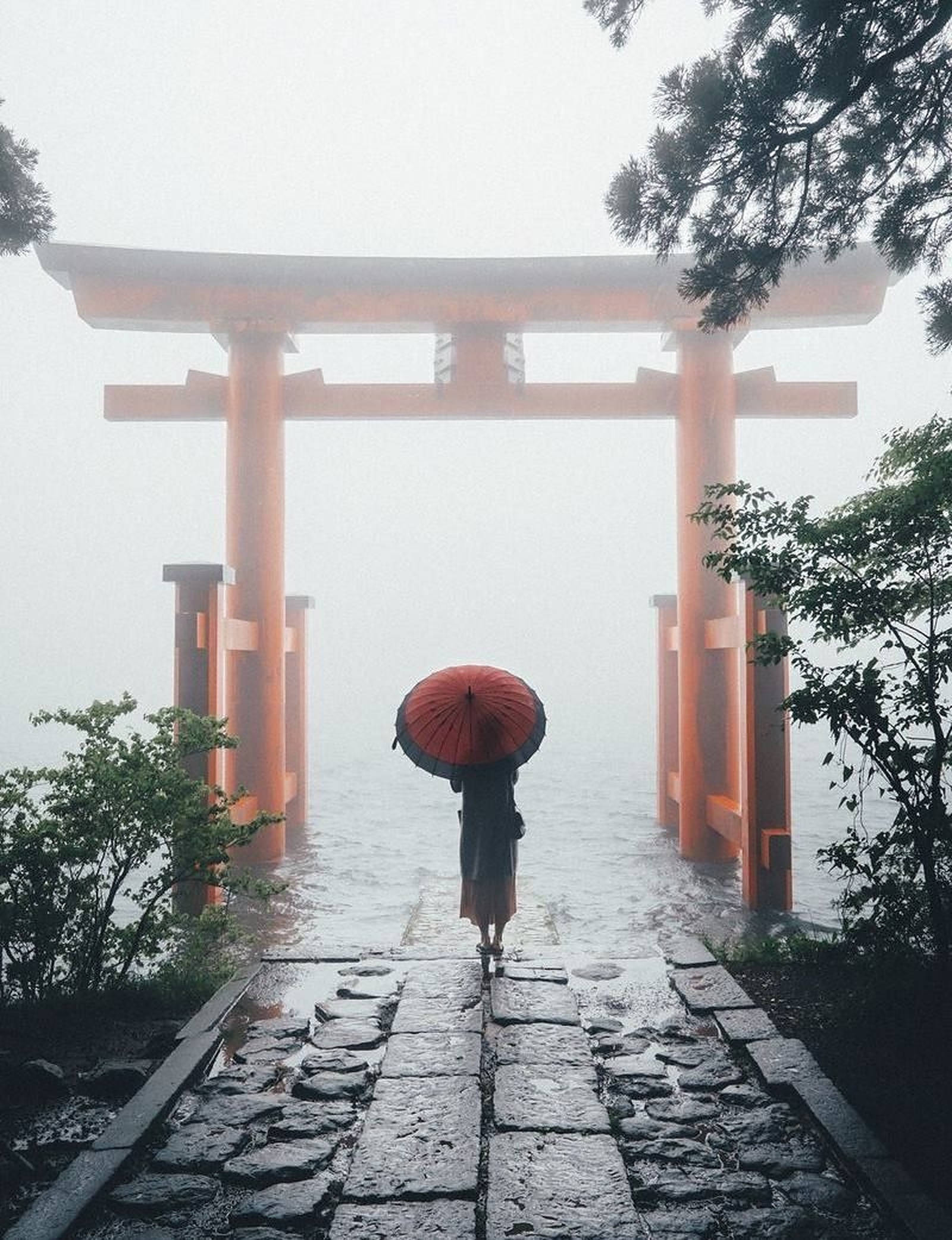 霧中莊嚴紅色鳥居門 壁紙 — 一個孤獨的身影撐著紅傘，沿著被綠意環繞的石徑，走向霧氣瀰漫的橙色鳥居。