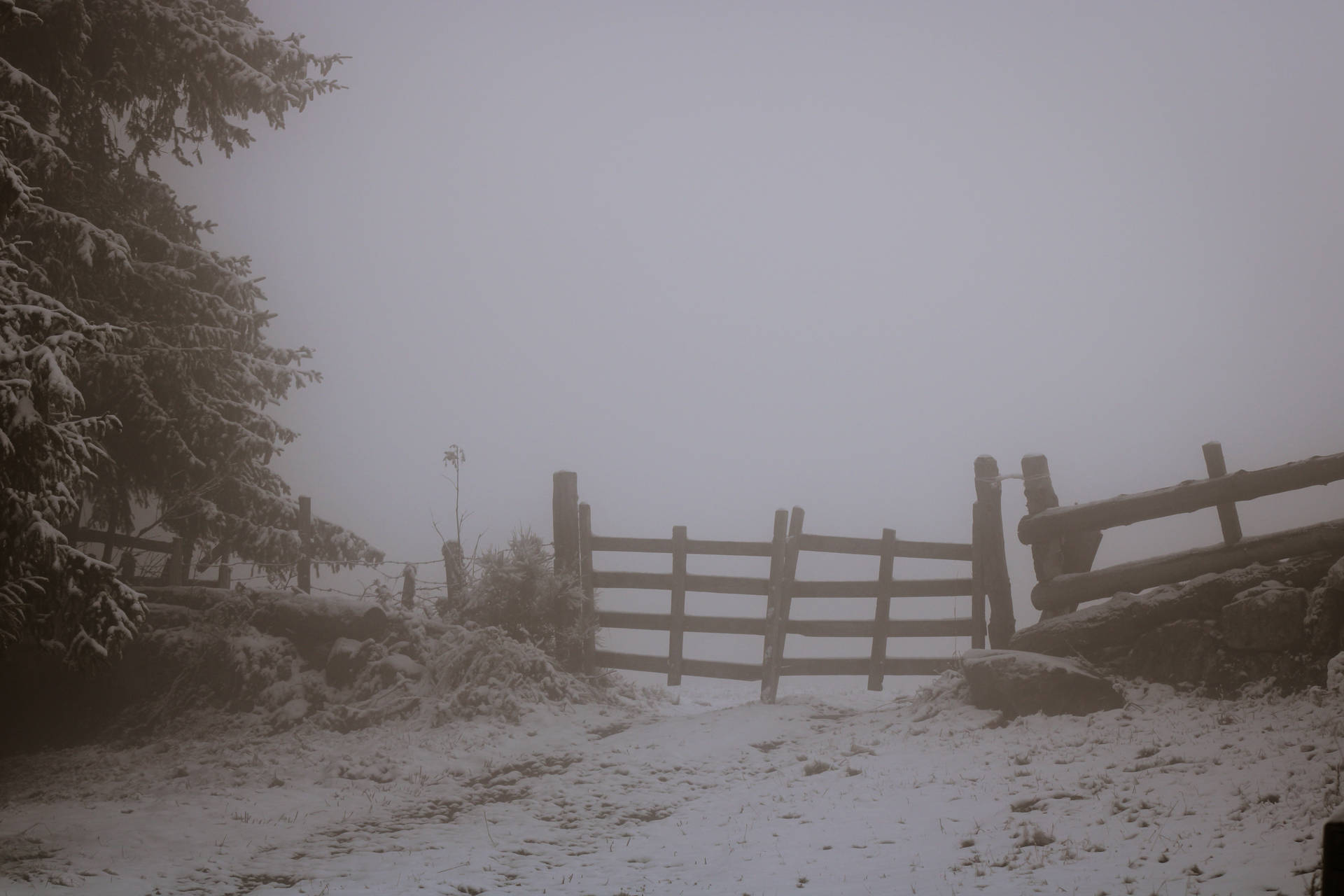 濃霧籠罩的雪林中的木門