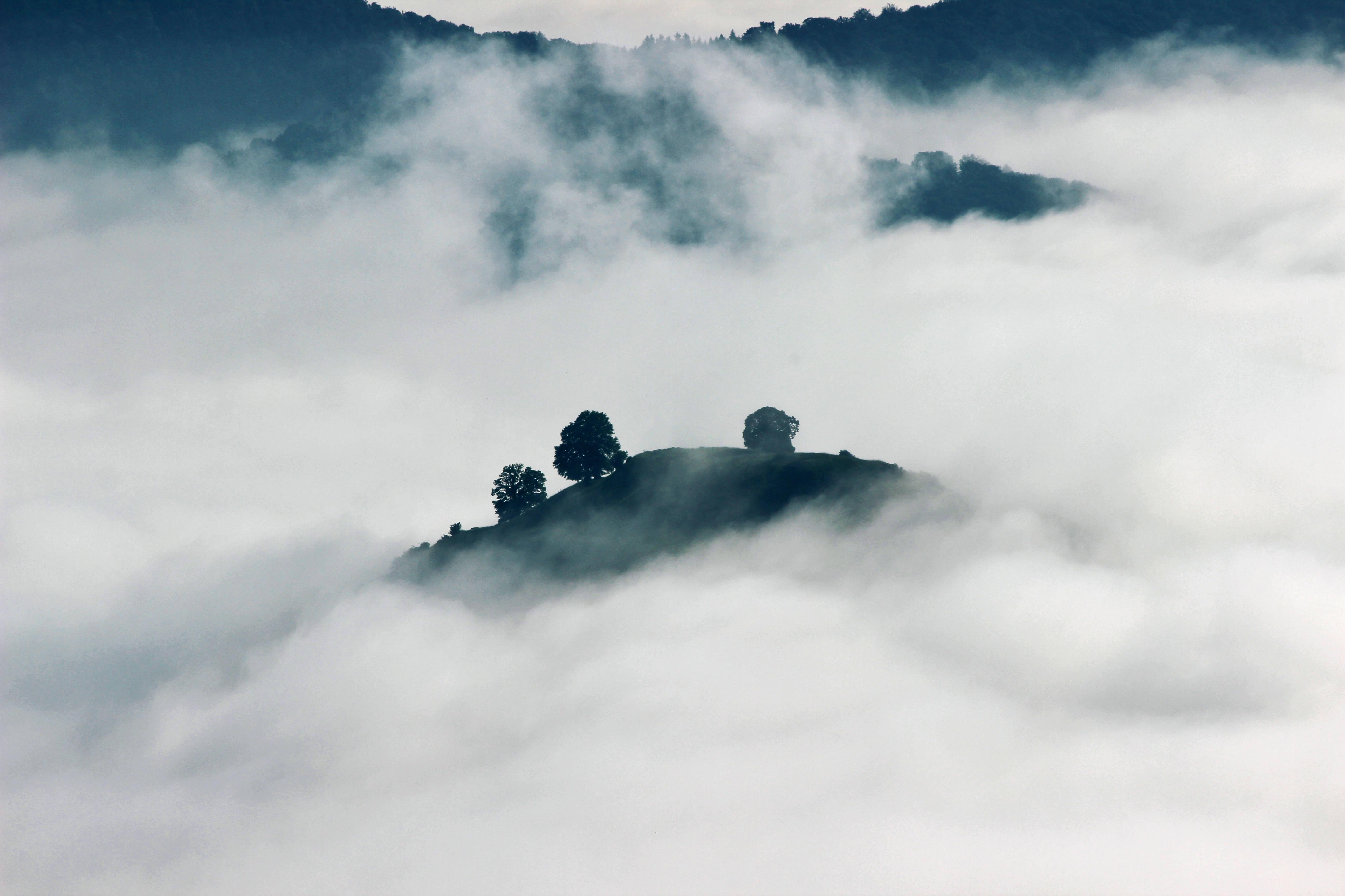霧氣山丘 壁紙 — 在寧靜的山景中，一座孤獨的山丘上長著剪影般的樹木，聳立在霧氣雲海之上。