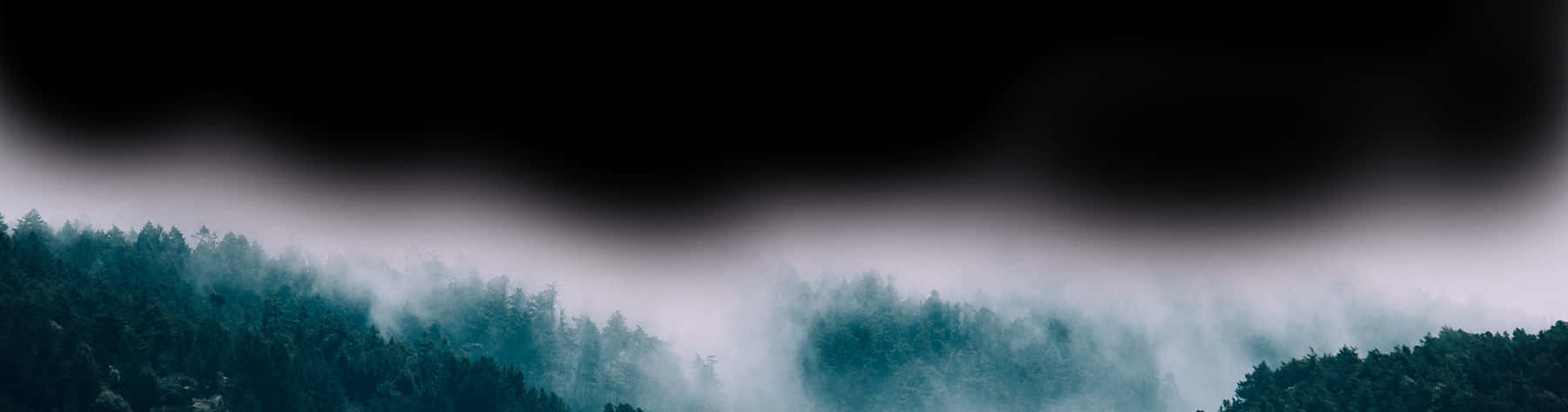 霧氣森林全景