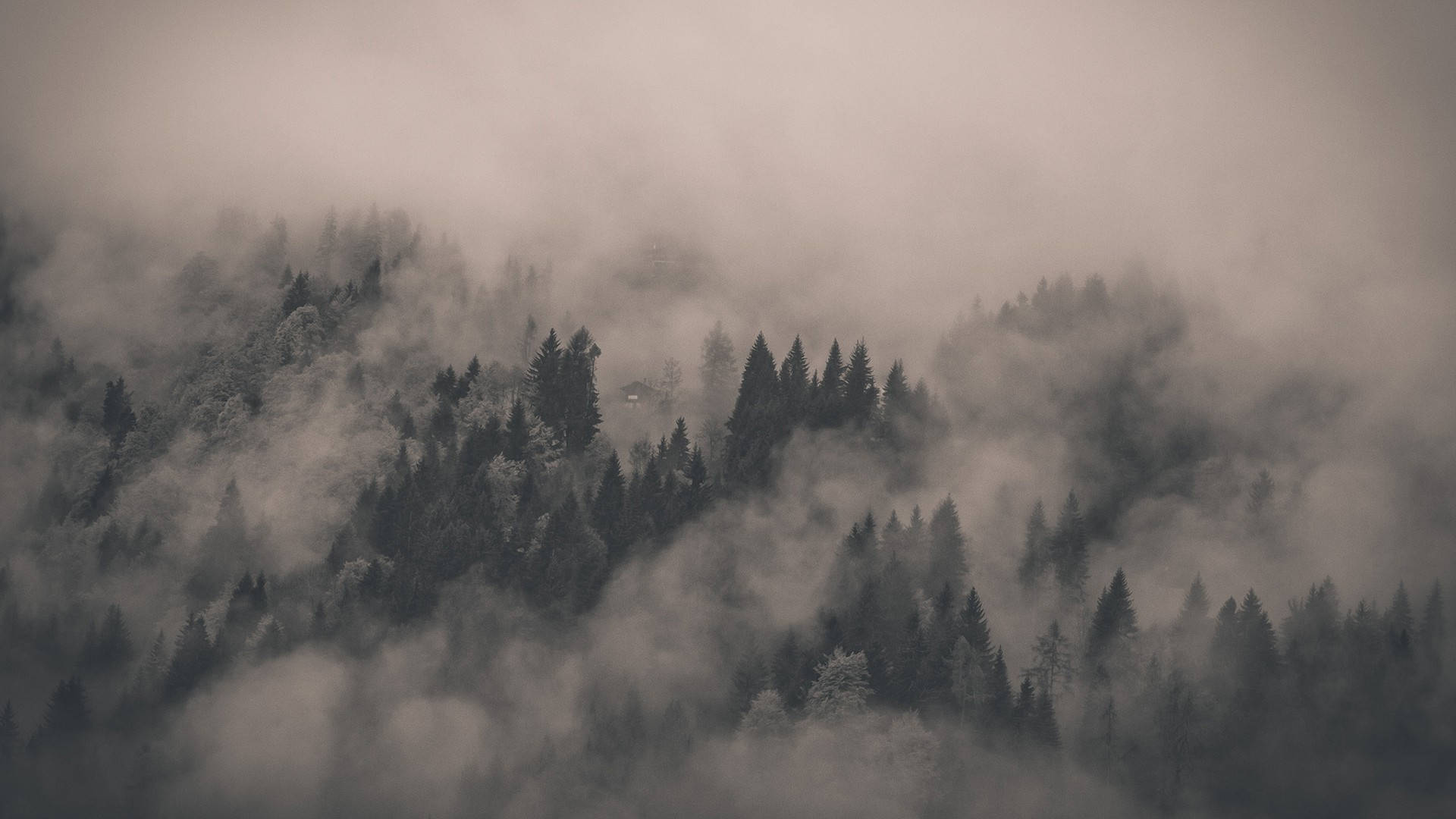 在旋轉的霧氣中升起的迷霧森林山峰山景。