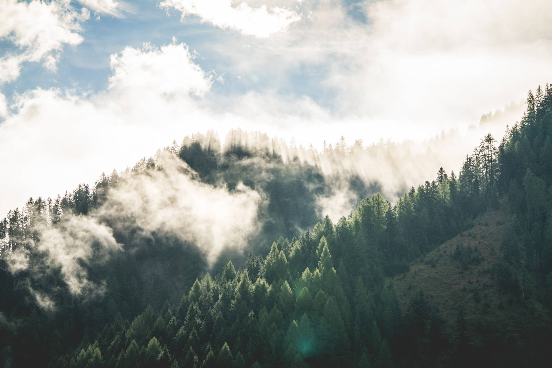 霧氣瀰漫的山林，陽光穿過雲層灑落。