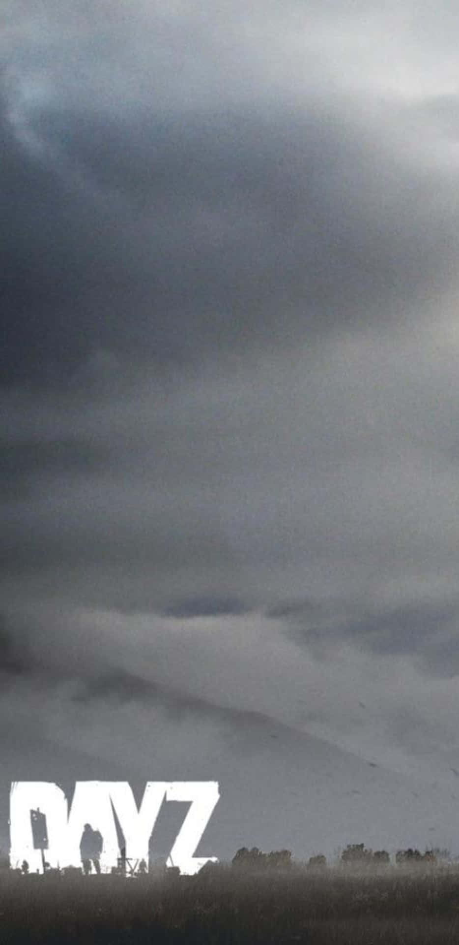 荒蕪田野上空的黑暗暴風雨天空，白色文字寫著DAYZ。