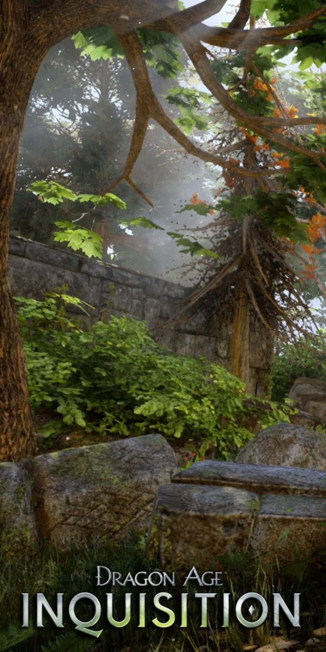 Pixel 3 Dragon Age Inquisition 桌布 壁紙 — 霧氣瀰漫的森林場景，古老的石頭廢墟被鮮豔的綠色植物和秋葉覆蓋，斑駁的陽光灑落其間。