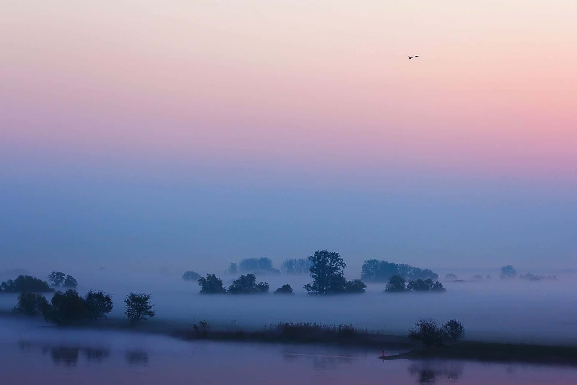 霧氣瀰漫的湖畔風景 壁紙 — 寧靜的黎明薄霧籠罩著平靜的河谷，樹木剪影和孤鳥翱翔其上。