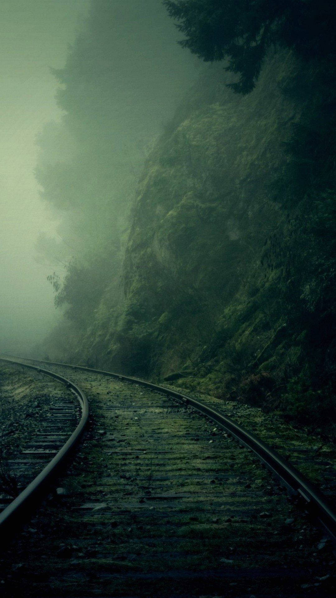 彎曲的鐵路軌道消失在長滿苔蘚的山坡上的霧氣森林中。 — 深綠色美學動態圖 壁紙