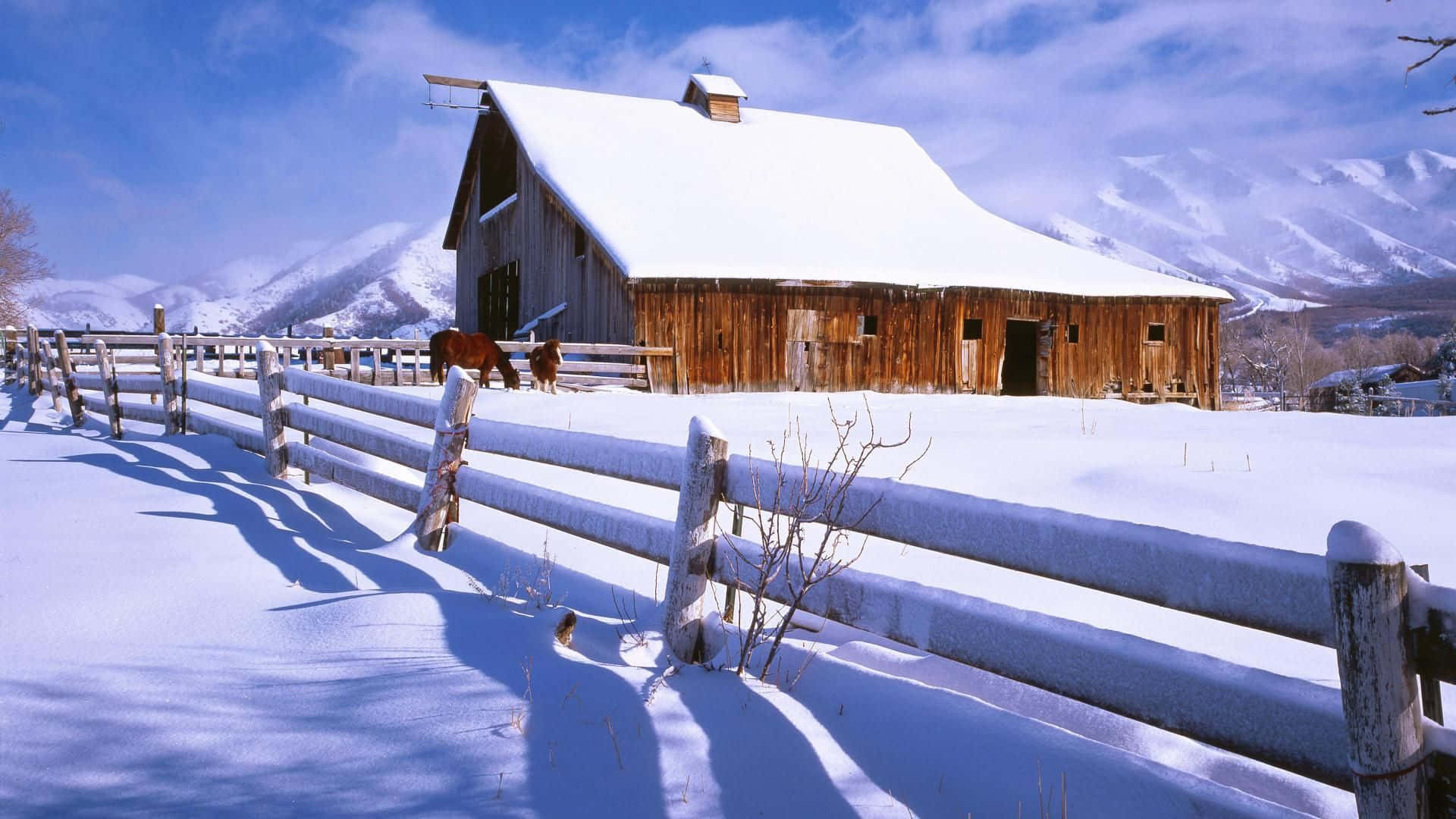 雪中穀倉與圍欄後的馬匹，以雪山為背景
