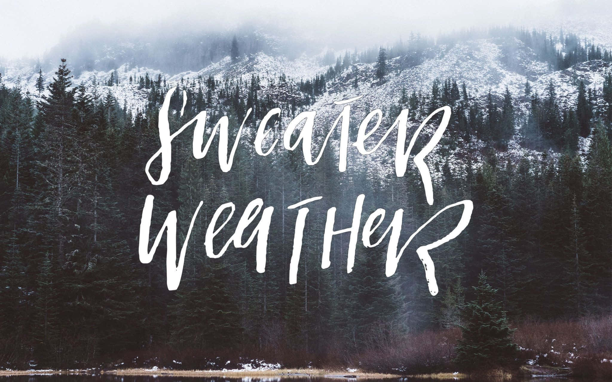 Cute Winter Aesthetic 桌布 壁紙 — 霧氣繚繞的山巒下，松樹林覆蓋著薄雪，並有粗體白色草書文字寫著sweater weather。