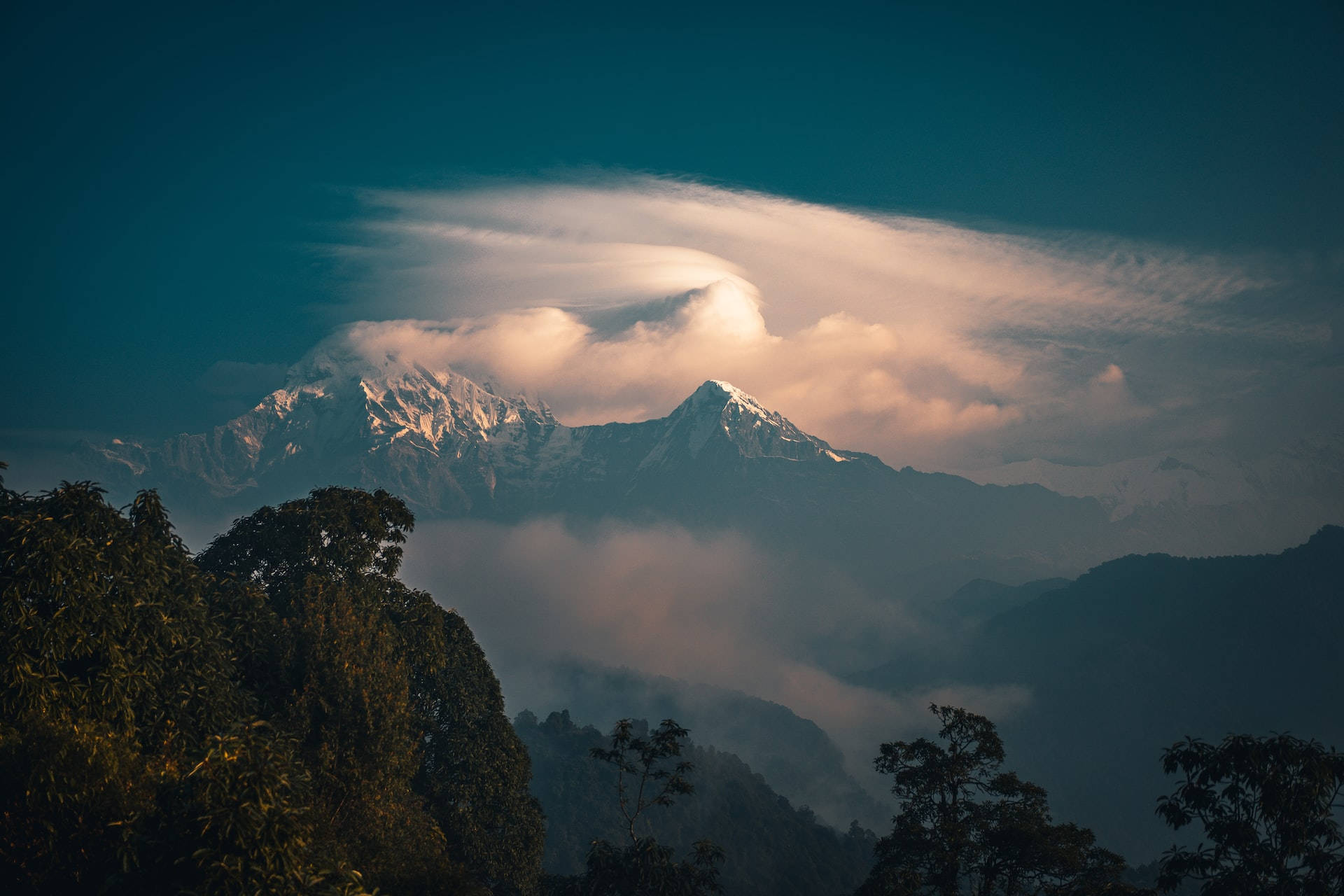 雪山峰在黎明時分聳立於雲層之上，前景有森林