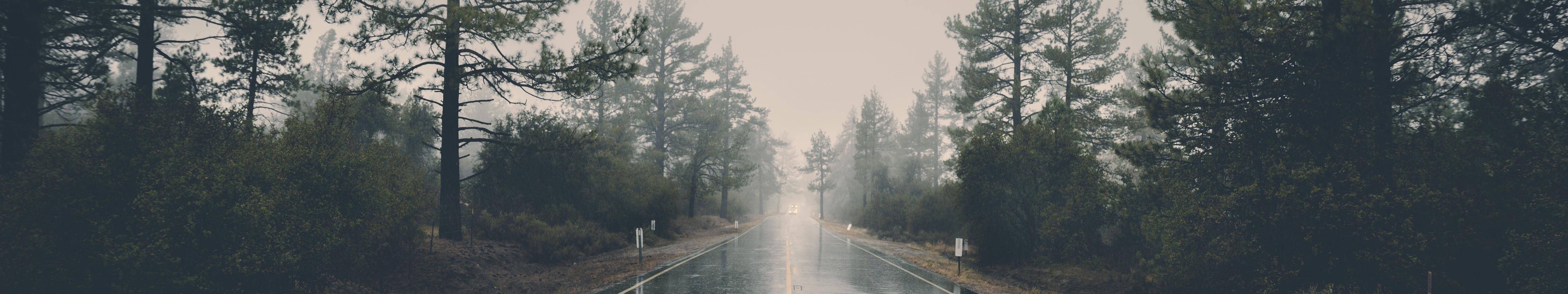 在朦朧的灰色天空下，一條濕漉漉的森林道路兩旁種滿了松樹。