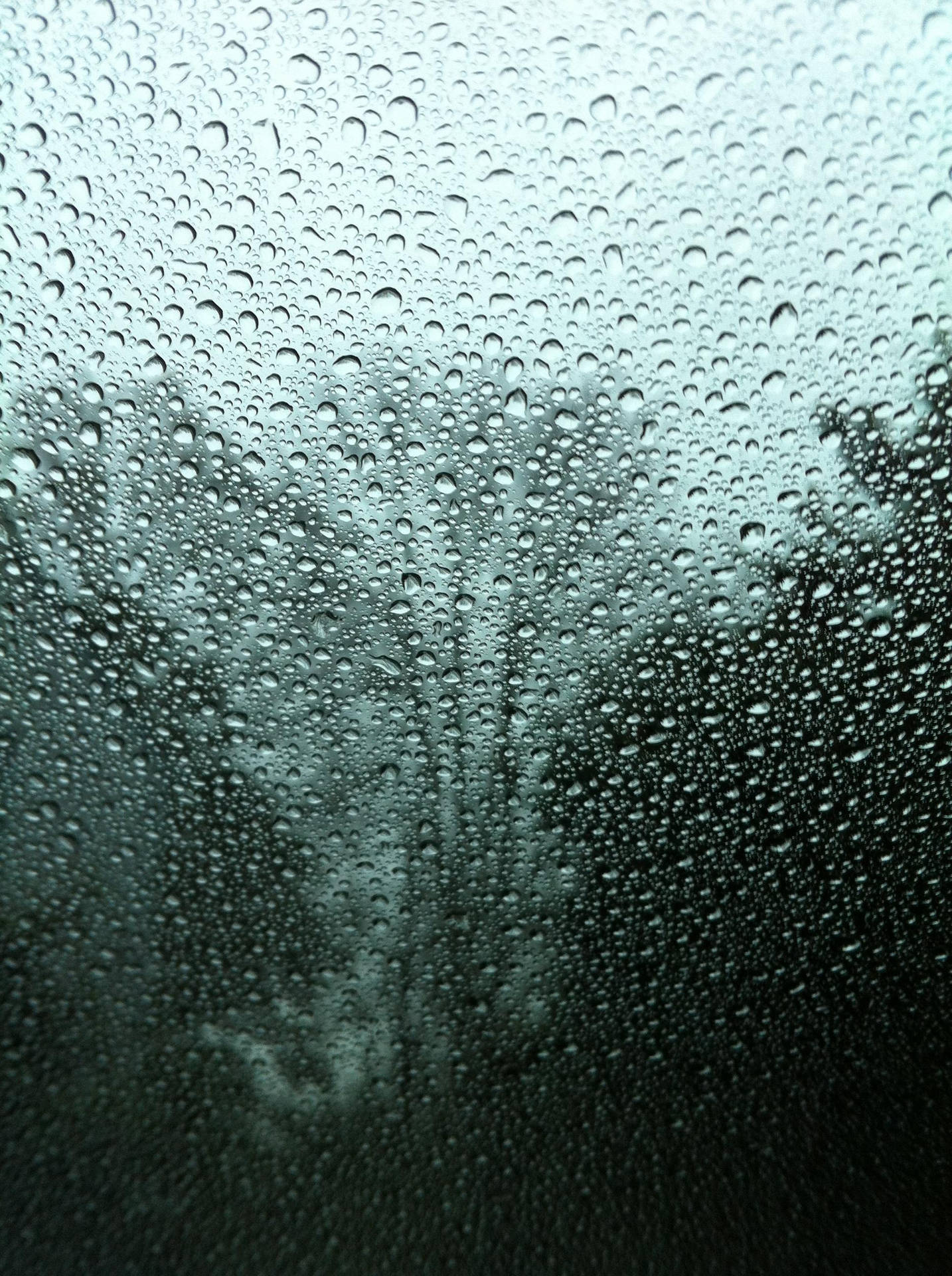 玻璃上的雨滴遮蔽了陰沉的戶外景象。