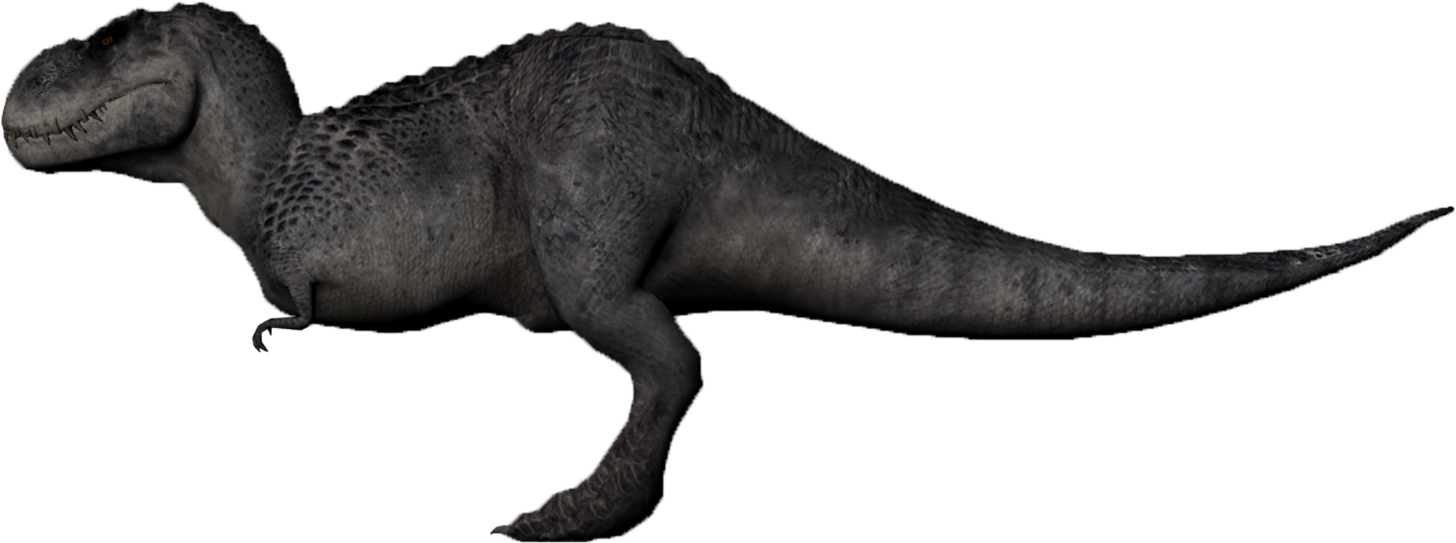 霸王龍側面圖像 壁紙 — 一隻細節豐富的灰色暴龍側面站立在純黑色背景前，展示其紋理皮膚和強壯體格。