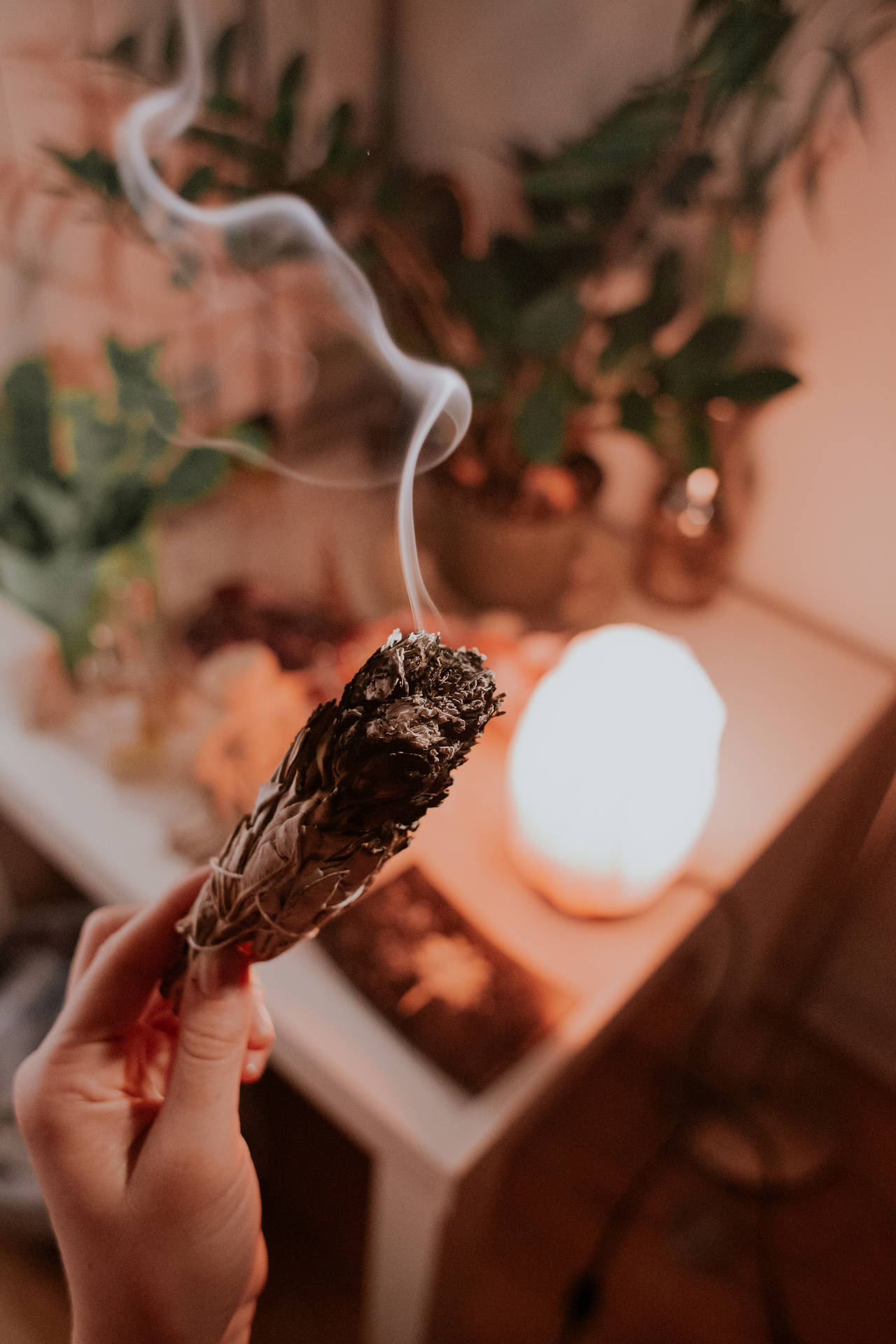 手拿著燃燒的鼠尾草，煙霧在發光的燈和植物附近升起。