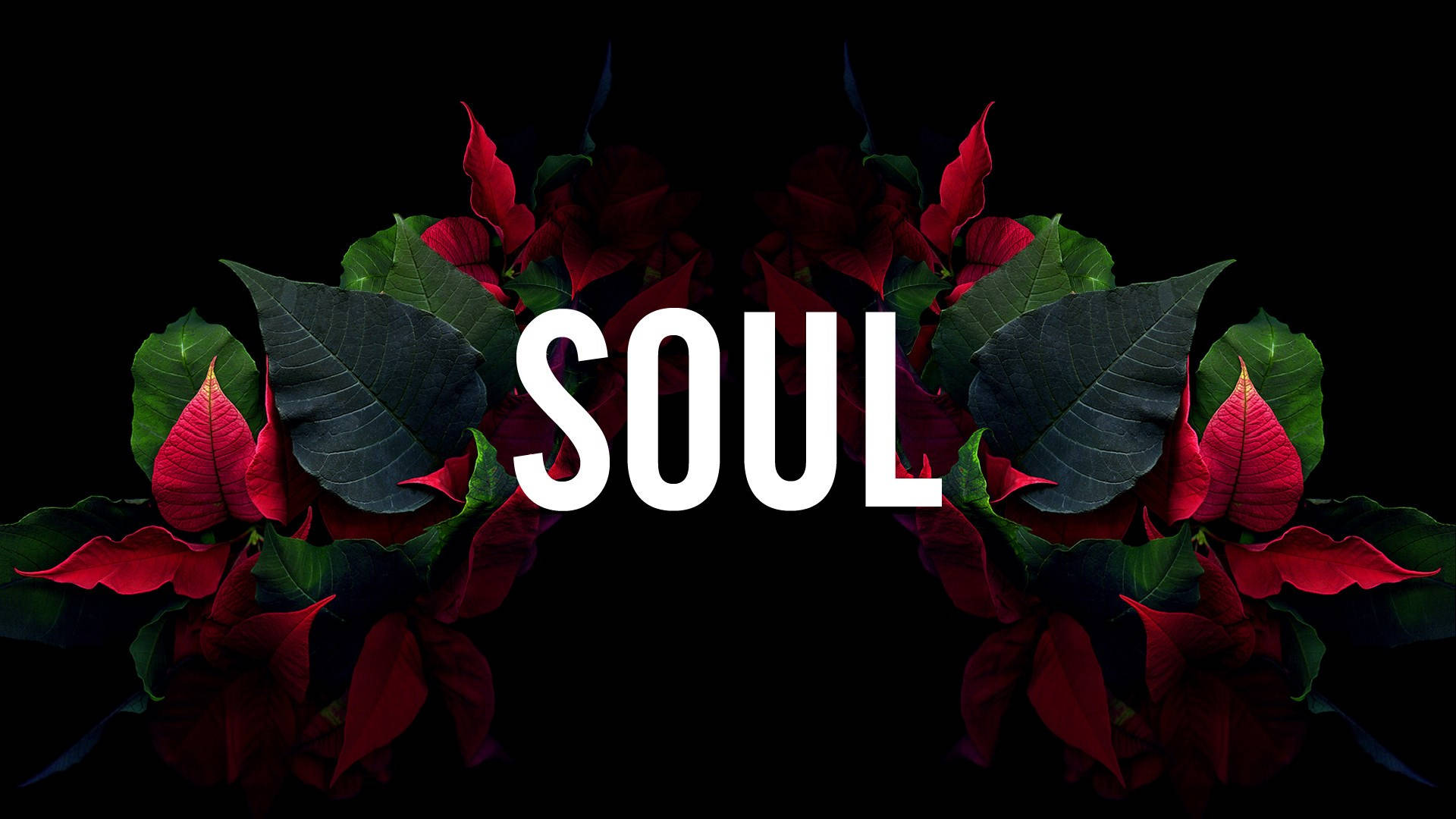黑色背景上，紅色聖誕紅花朵和綠色葉子環繞著 SOUL 這個詞。