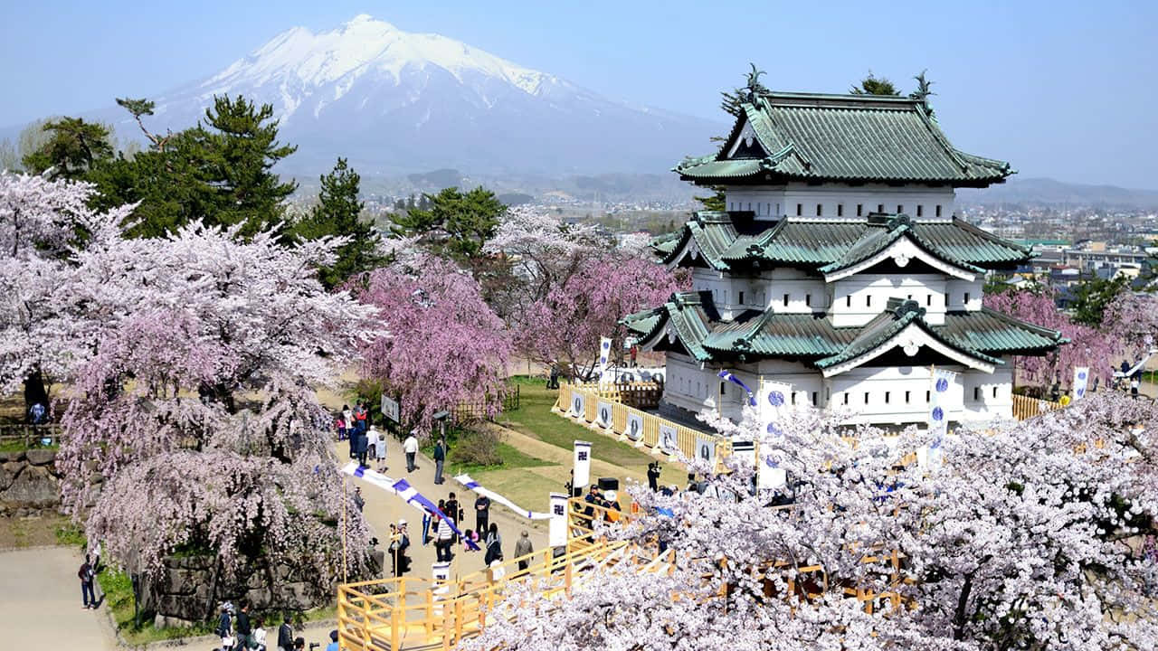 城堡被櫻花環繞，背景有富士山。