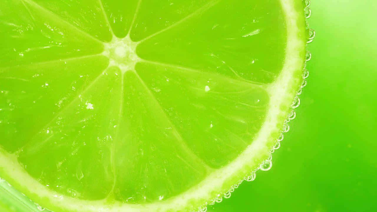 青檸片附水珠 壁紙