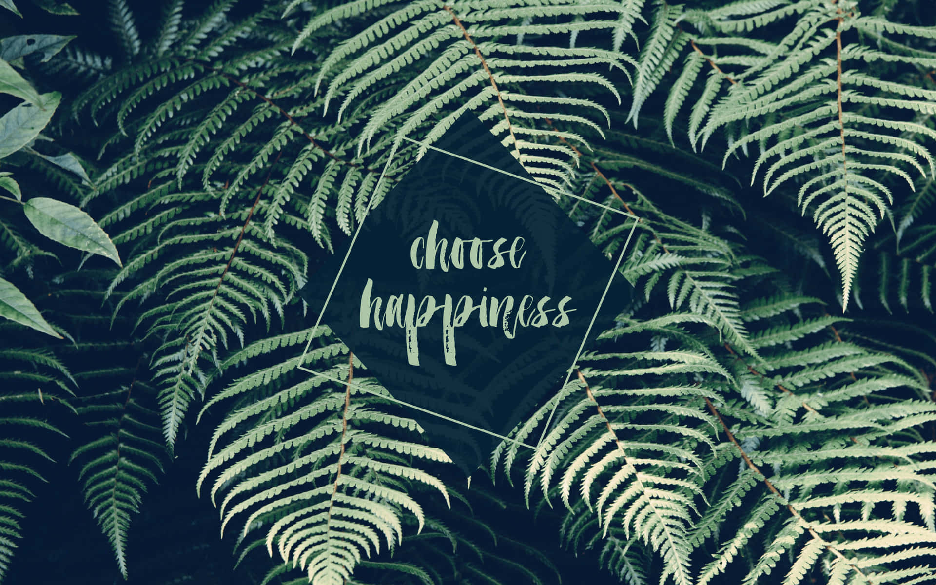 蕨類葉片圍繞著一個帶有 choose happiness 文字的深色六邊形。