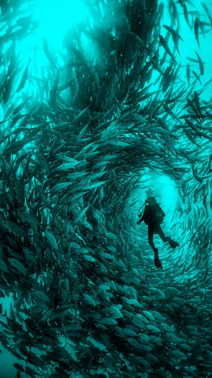潛水員被深藍綠色海水中漩渦般的魚群環繞。
