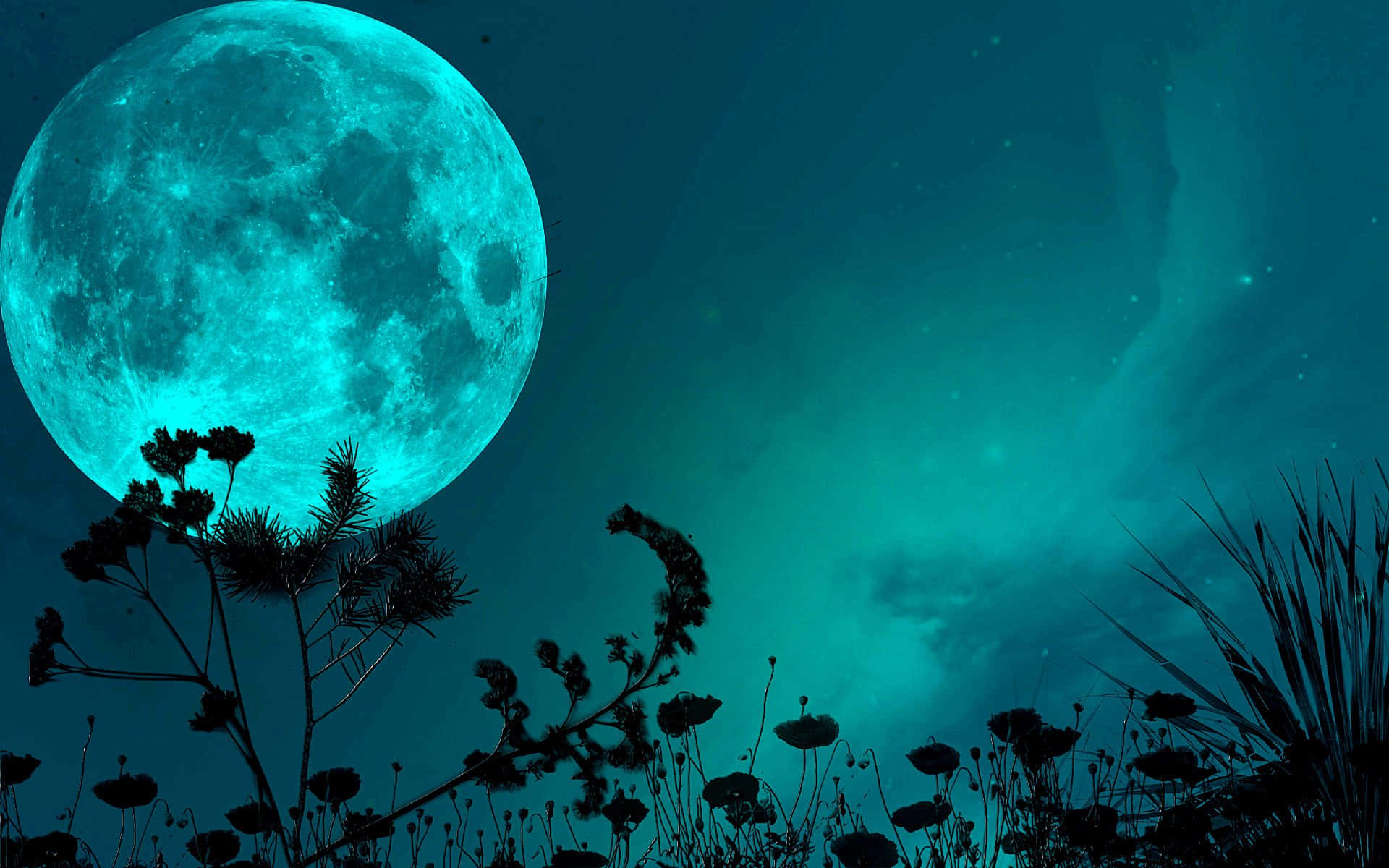 青色夜空與滿月圖 壁紙 — 一顆巨大的發光青色月亮照亮了剪影般的野花，背景是深藍綠色的夜空，帶有微妙的極光絲縷。
