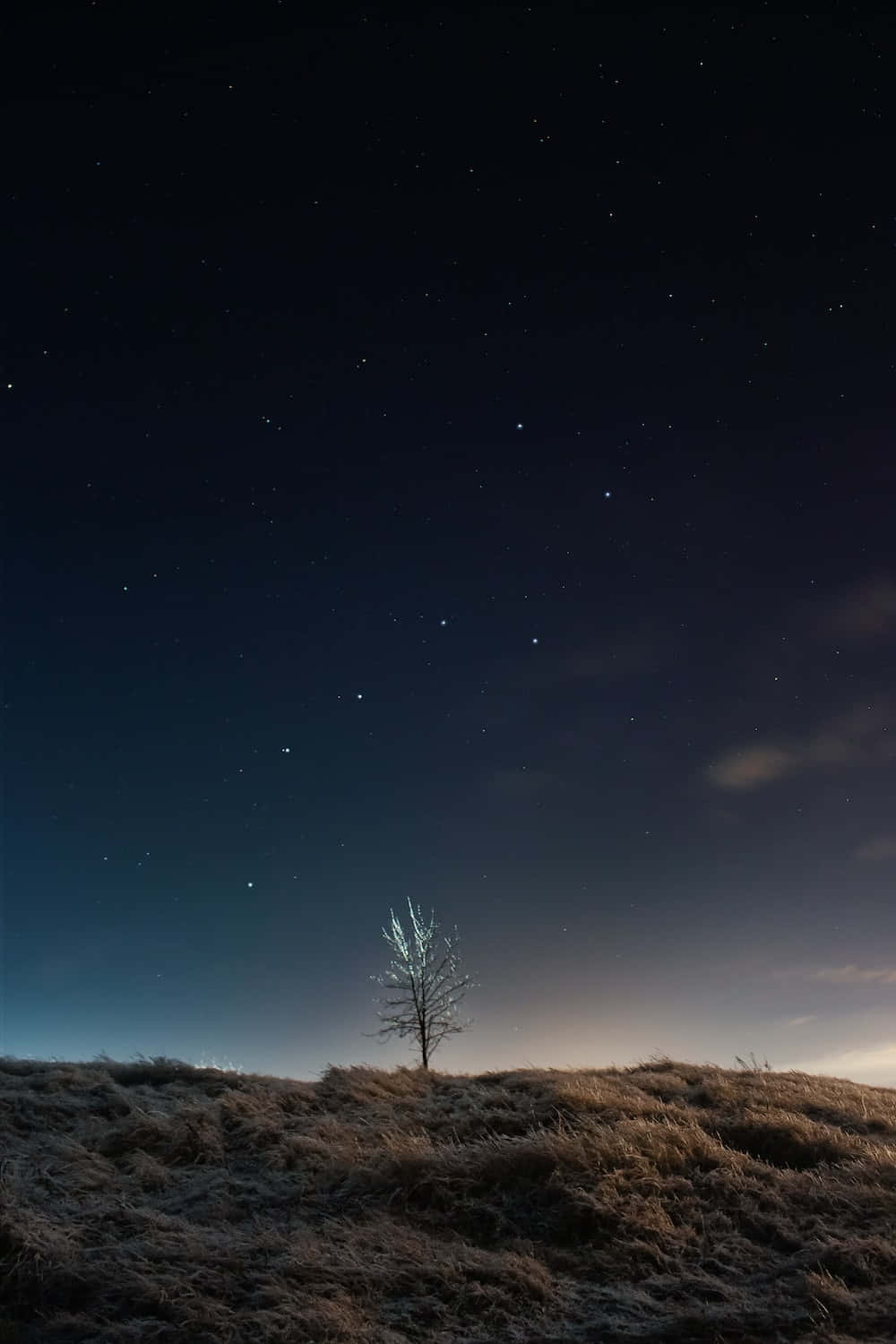 一棵孤獨的樹在霜凍的山丘上，星空夜空下，極光輝光。