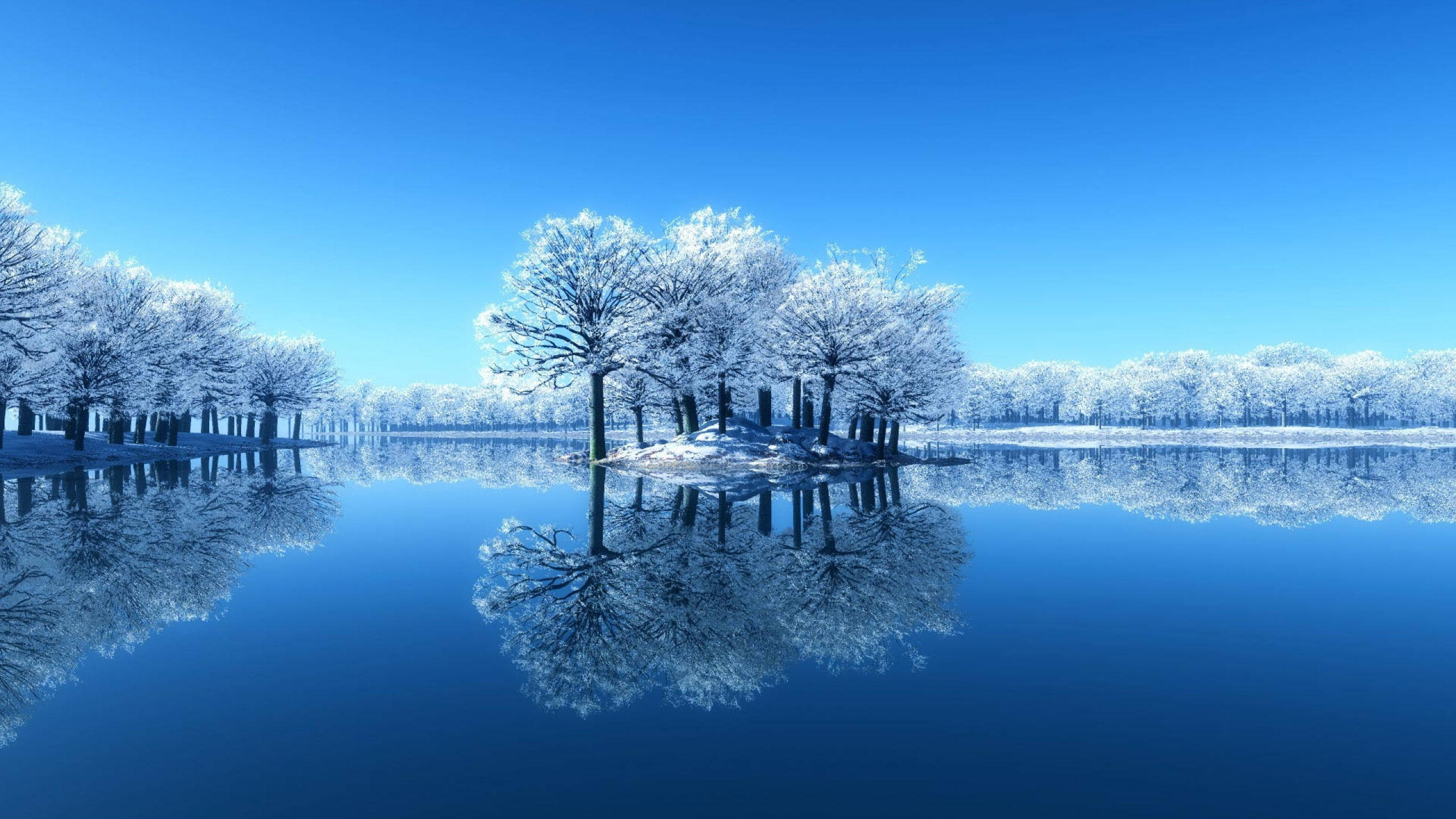 靜態雪景樹木 壁紙 — 積雪的樹木矗立在結冰的湖面上，在清澈的藍天下，平靜的水面完美倒映。