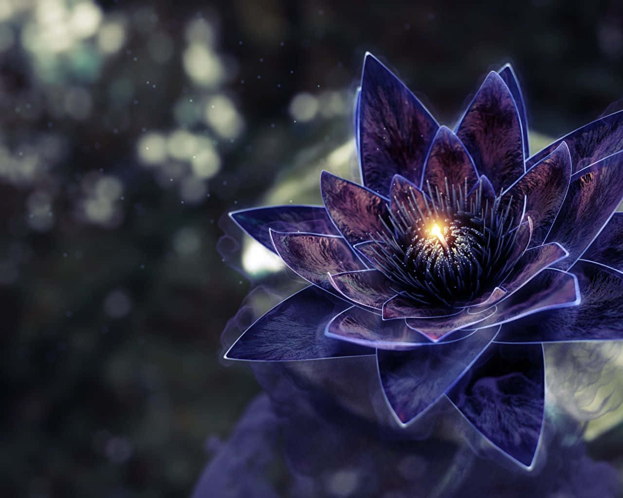 靜水之上漂浮的蓮花美景 壁紙 — 一朵發光的紫色蓮花，帶有光芒四射的花蕊，在柔和的散景背景中綻放。