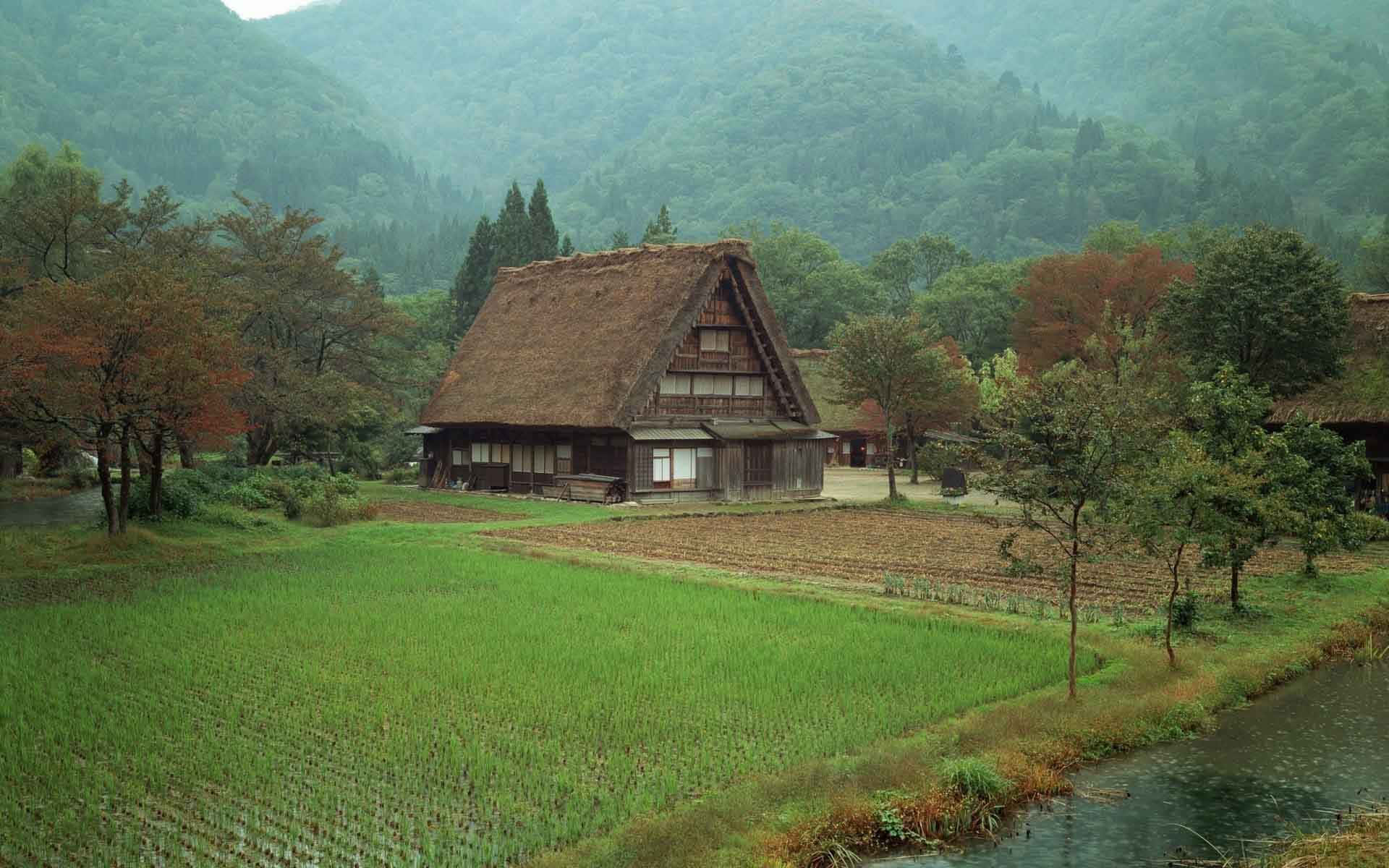 霧氣瀰漫的山谷中的傳統日本農舍，有稻田和小溪。