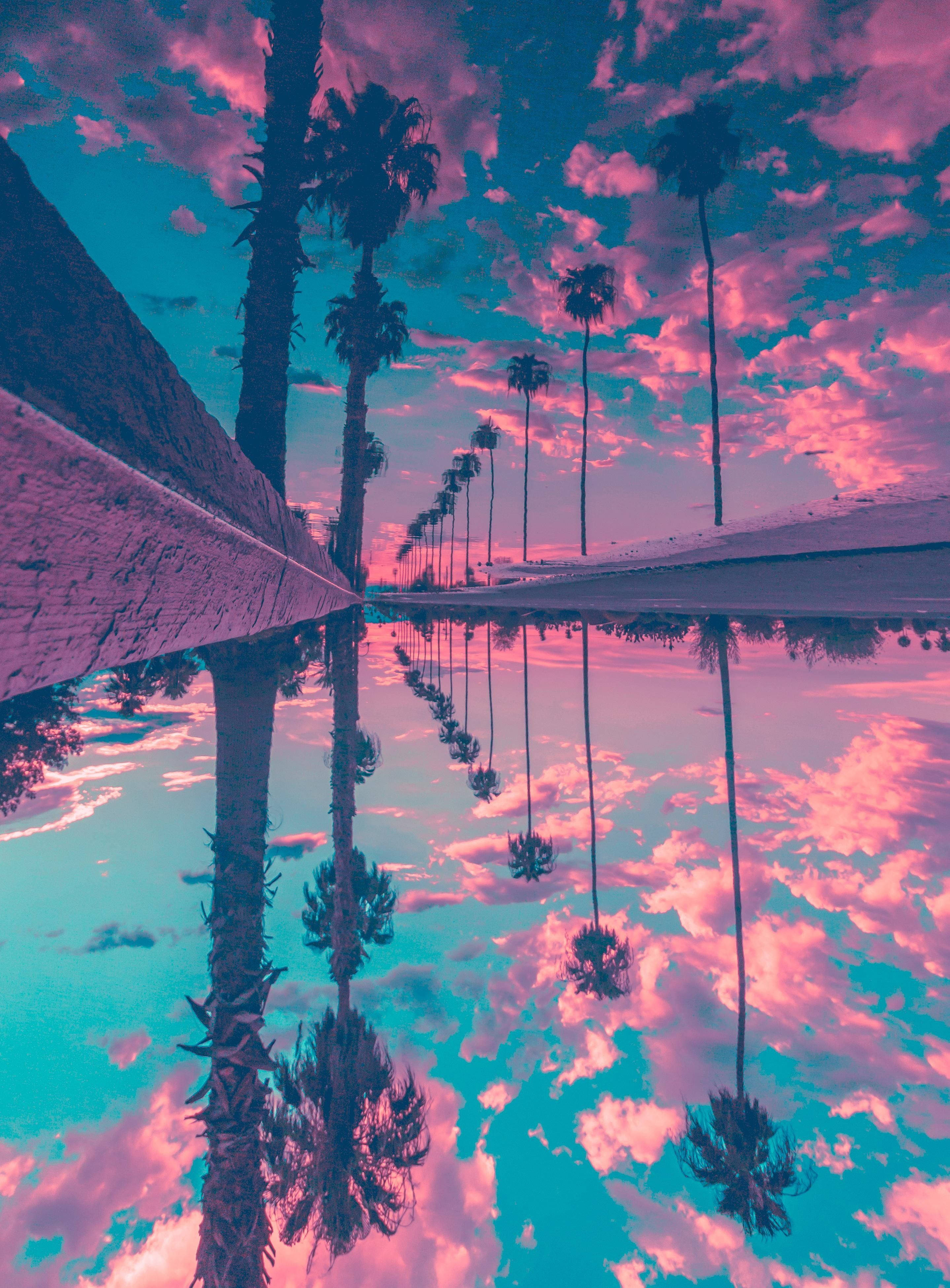 靜謐湖面倒影手機壁紙 壁紙 — 黃昏時分，一排高大的棕櫚樹旁平靜的水池中倒映著充滿活力的粉紅色和藍綠色天空。