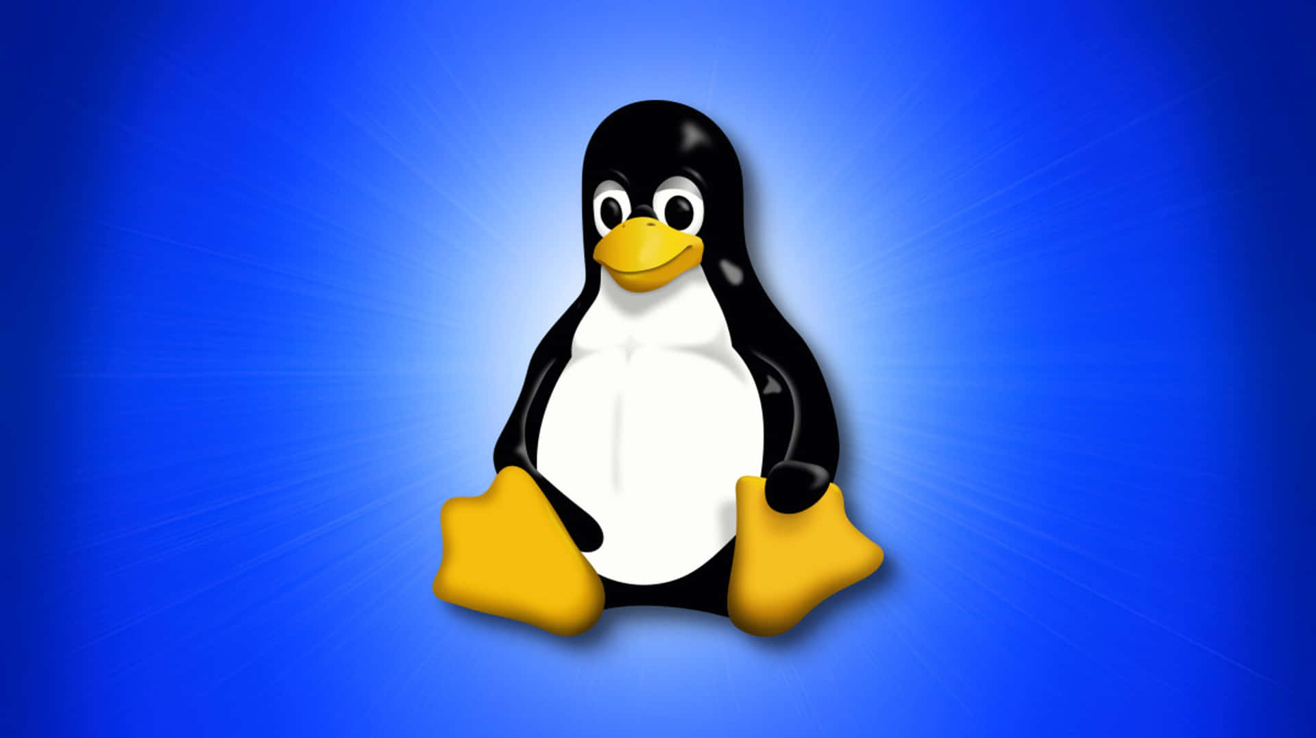 Linux 吉祥物企鵝，黃色喙和腳，藍色背景